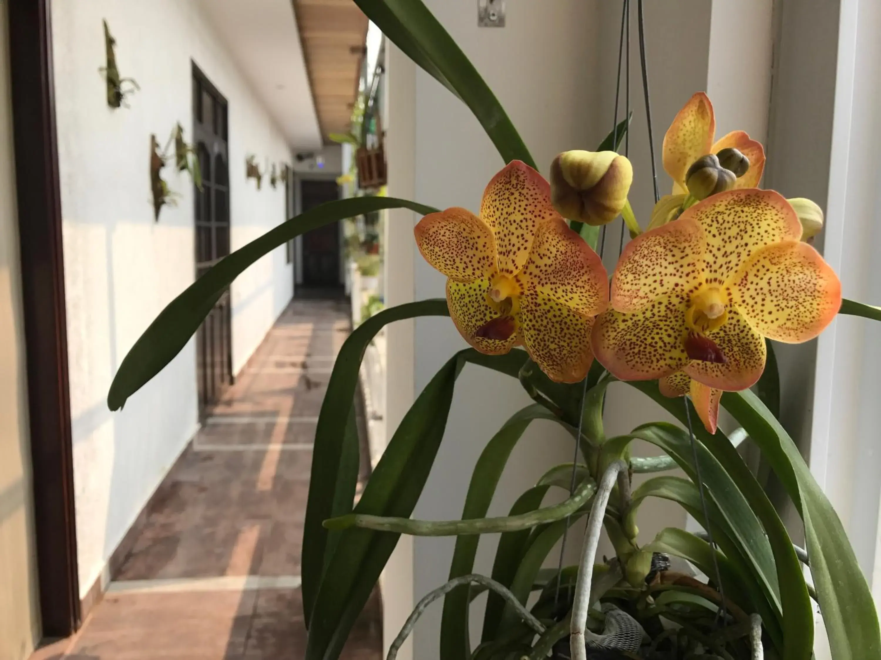 Lobby or reception in Sunny A Hotel Lobby or reception in Sunny A Hotel