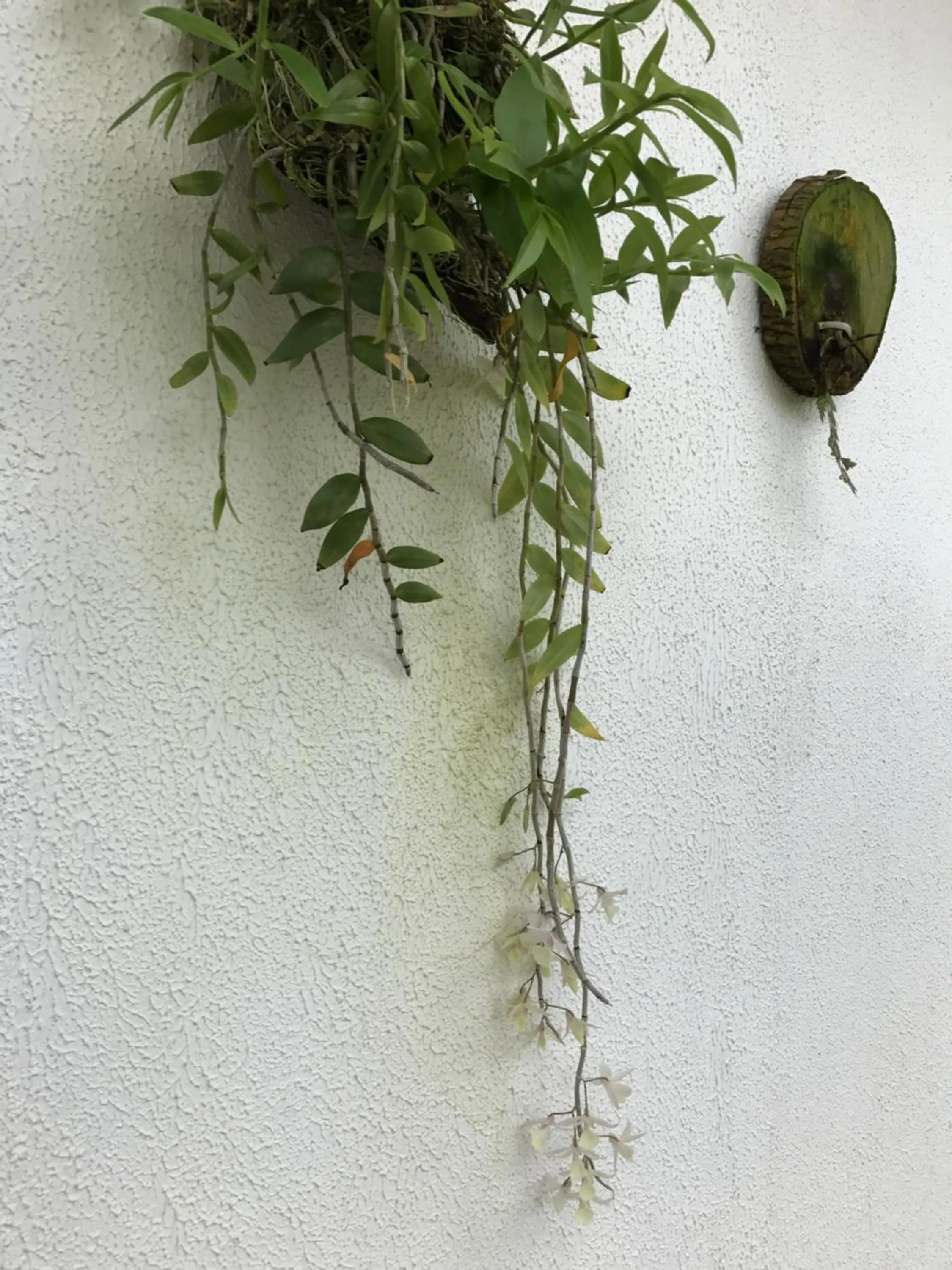 Other in Sunny A Hotel