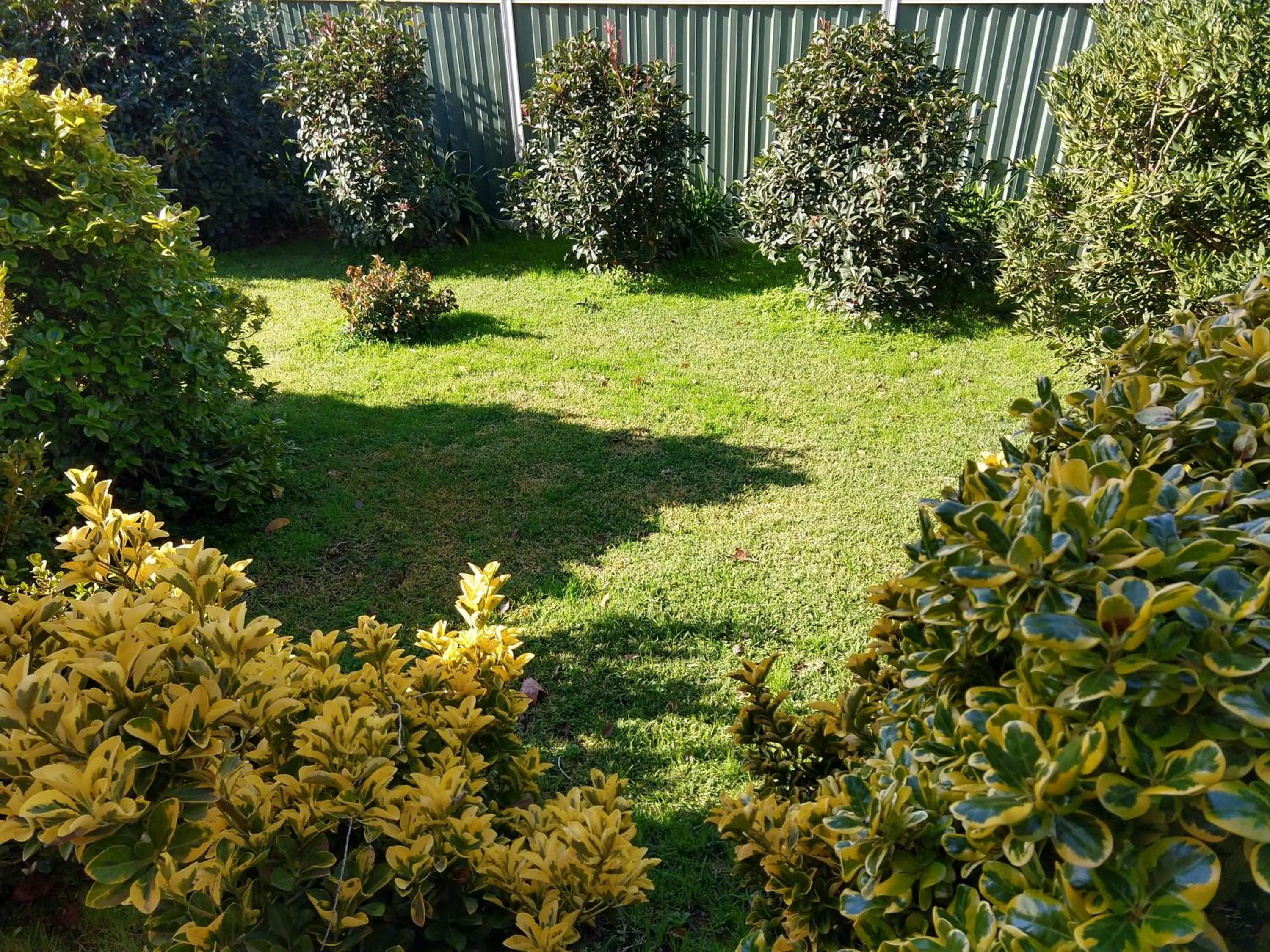 Garden in Goldrush Motel Young CBD