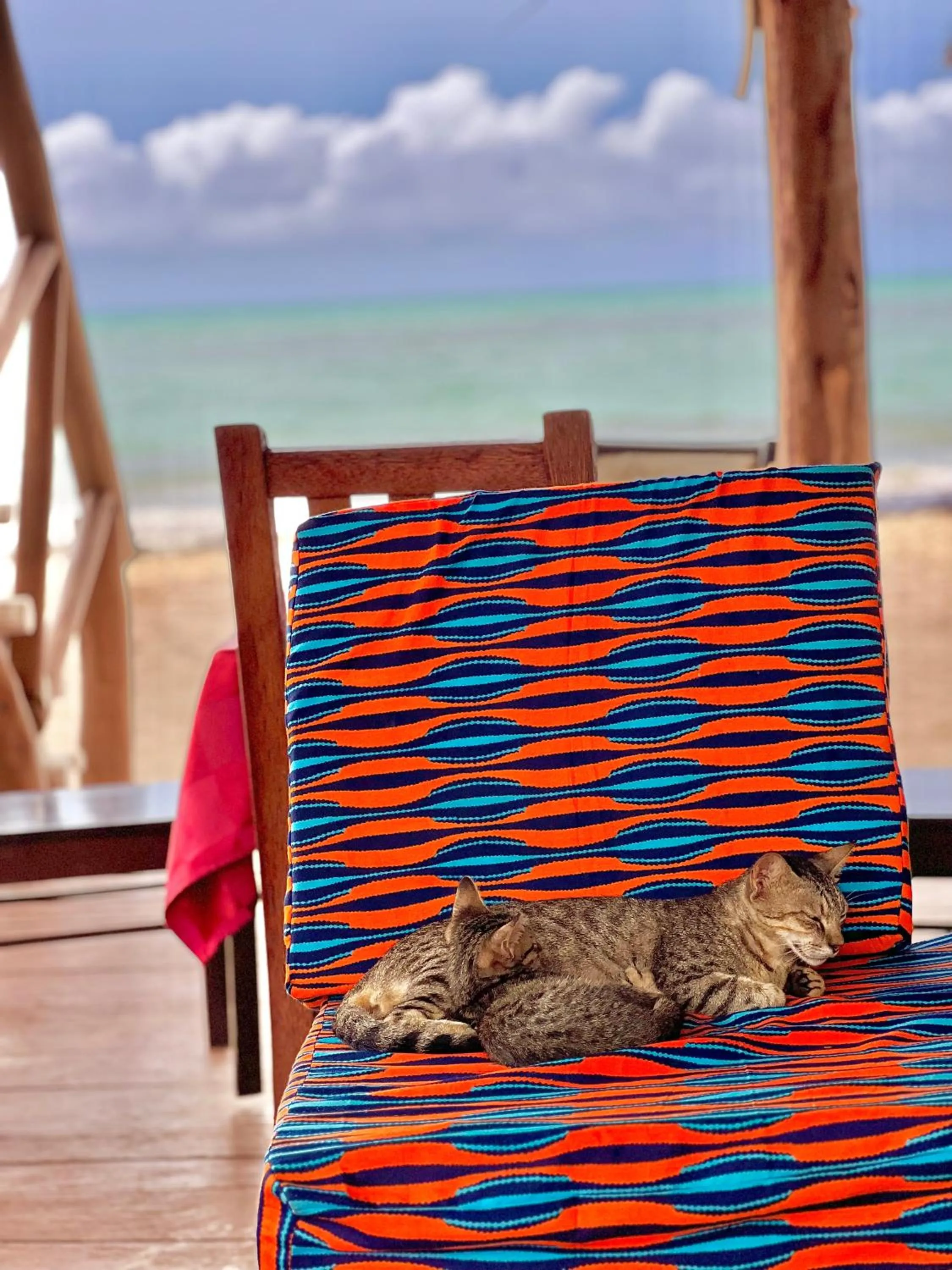 Seating area in Jambiani White Sands Bungalows