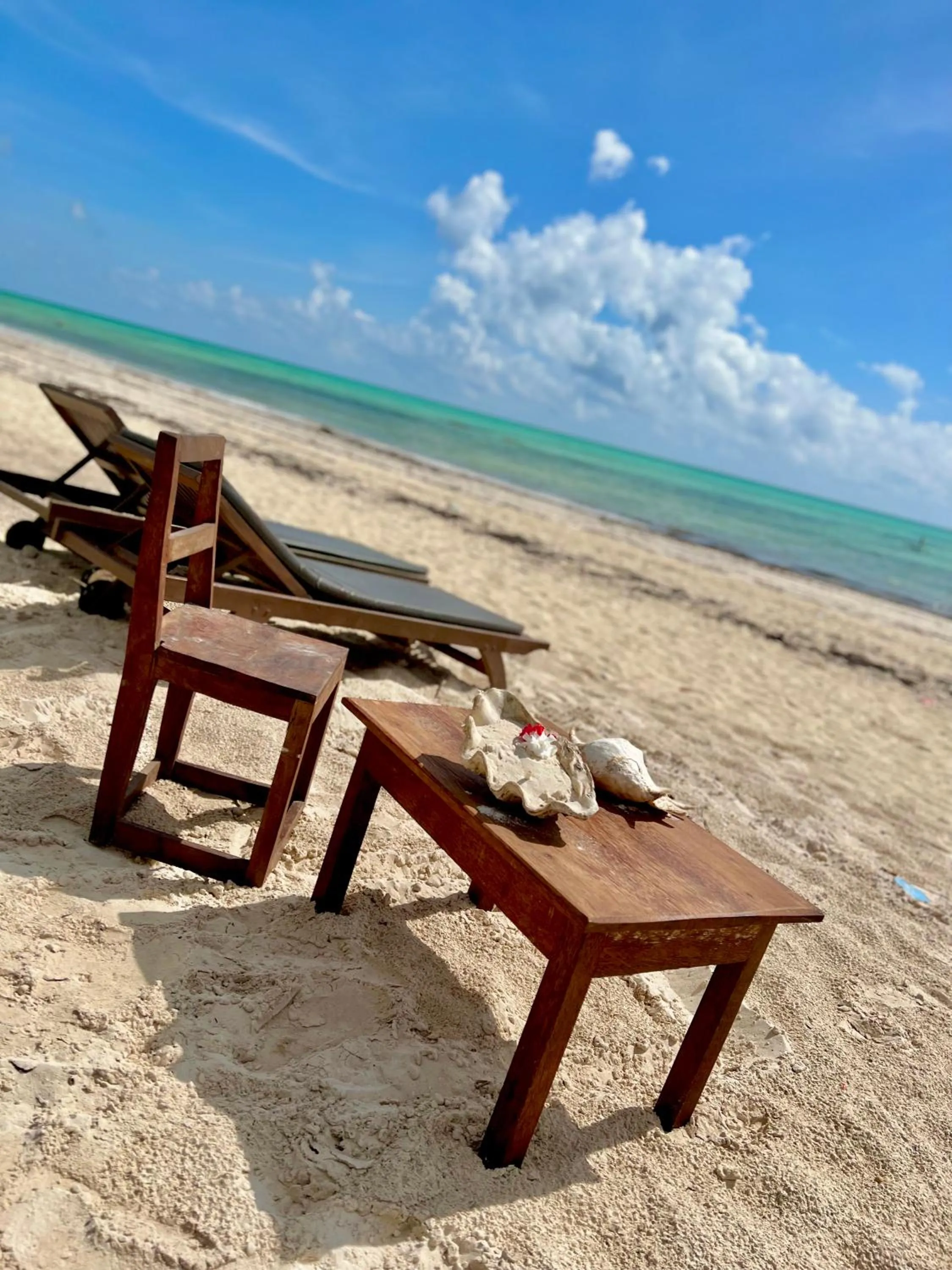 Beach in Jambiani White Sands Bungalows