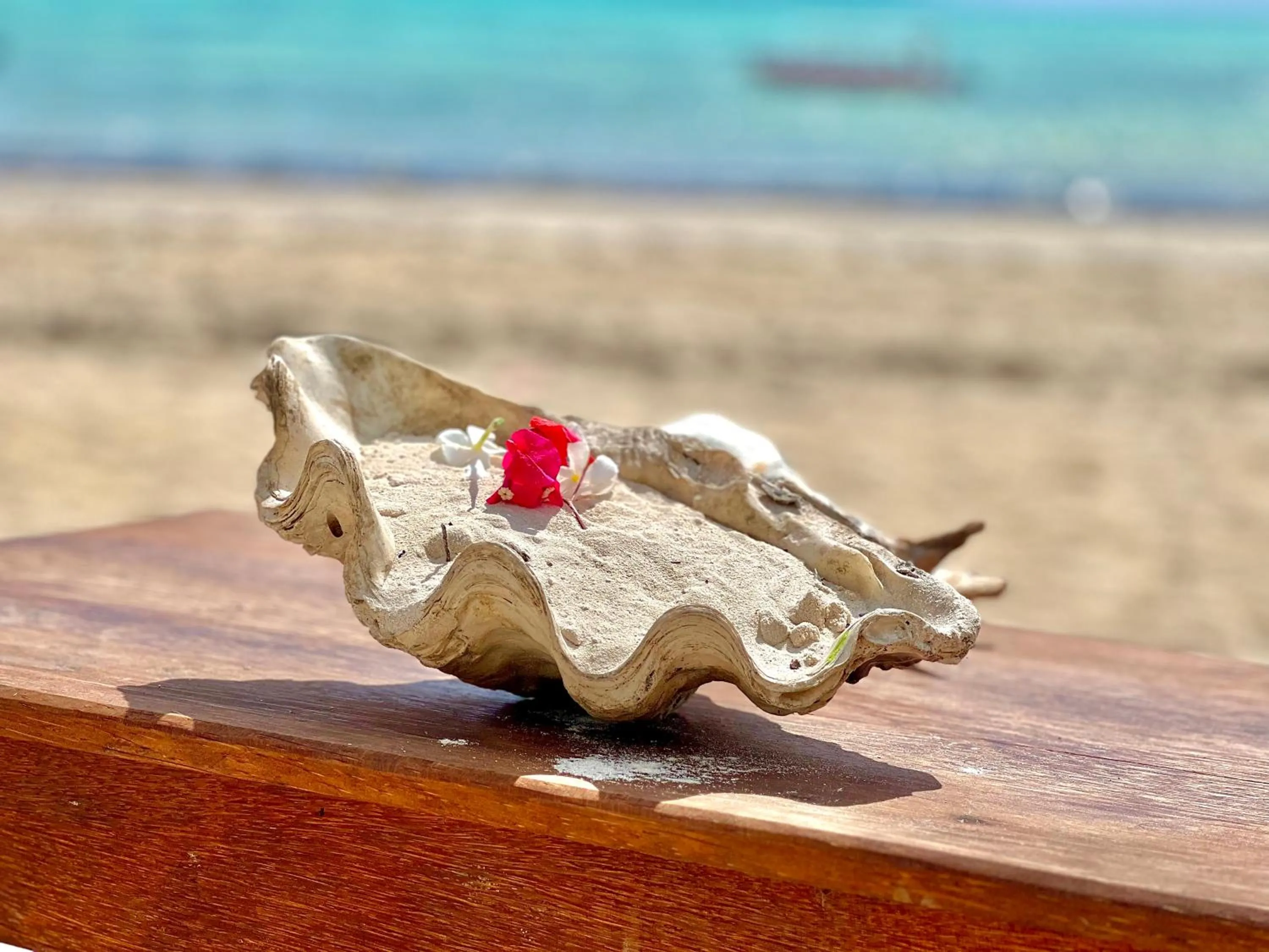 Day in Jambiani White Sands Bungalows