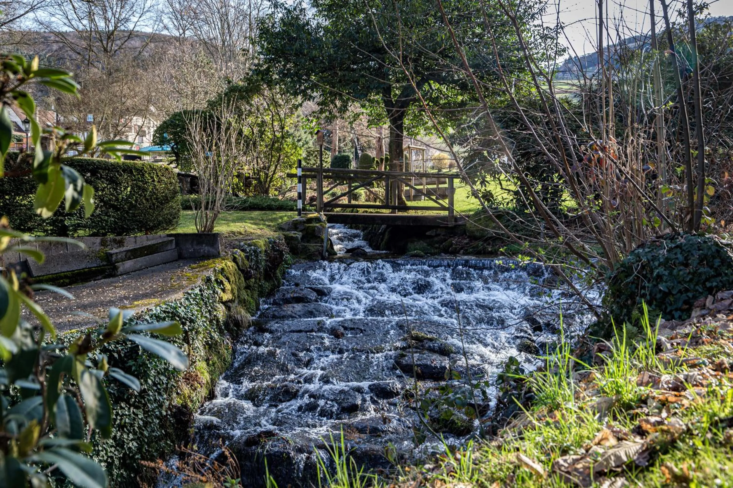 Natural landscape in living TIMELESS - Adler Apartments Sasbachwalden