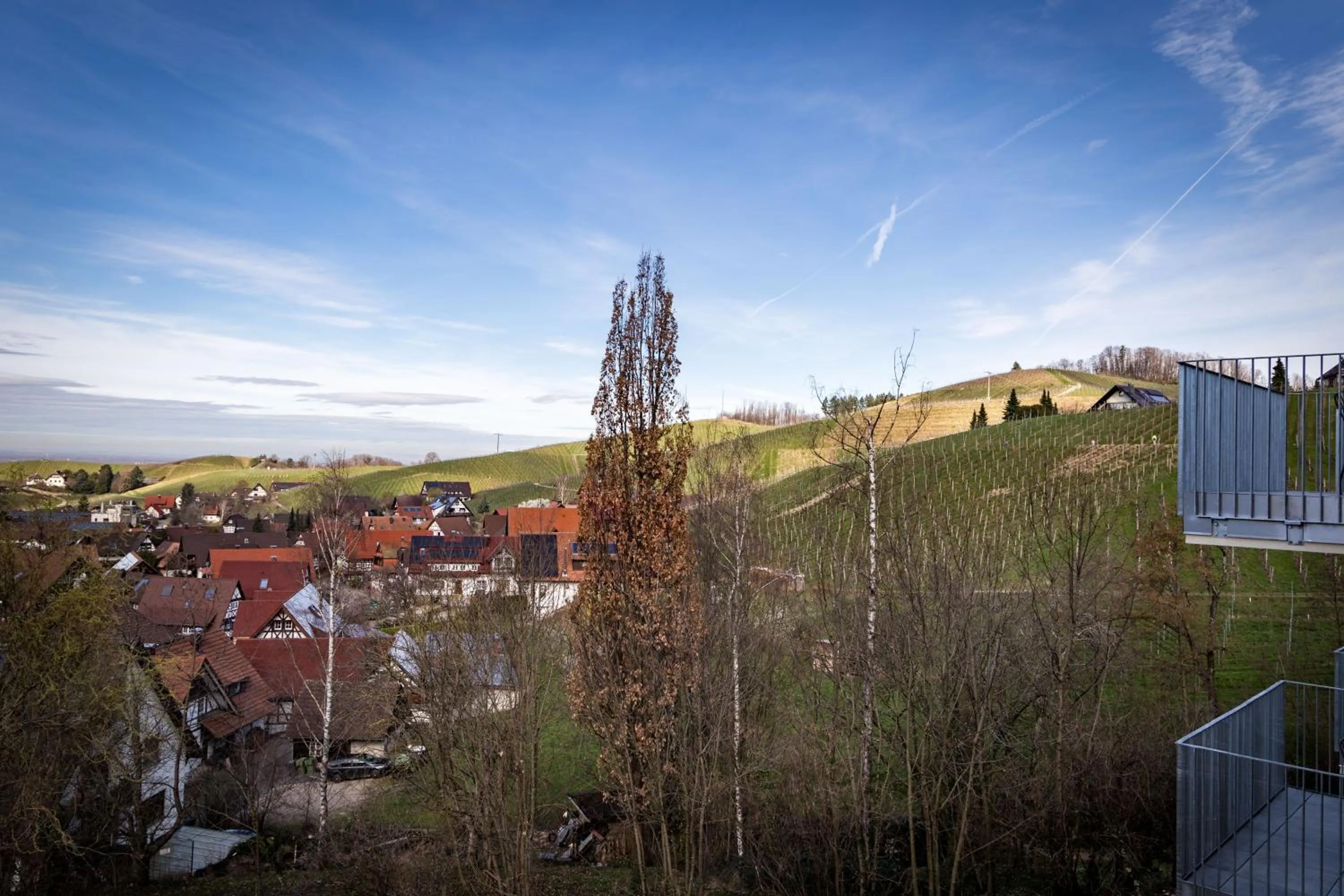 Natural landscape in living TIMELESS - Adler Apartments Sasbachwalden