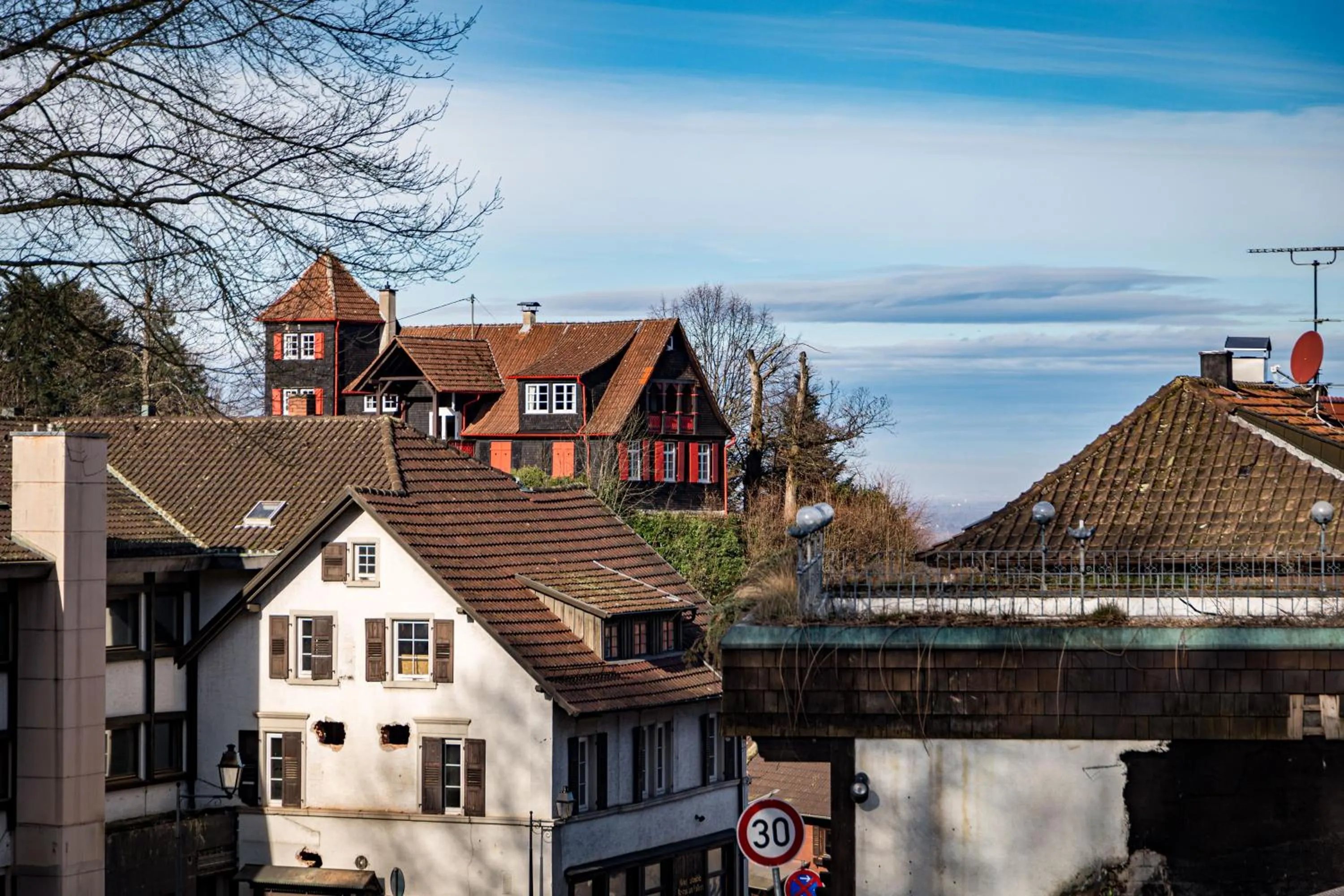 Natural landscape in living TIMELESS - Adler Apartments Sasbachwalden