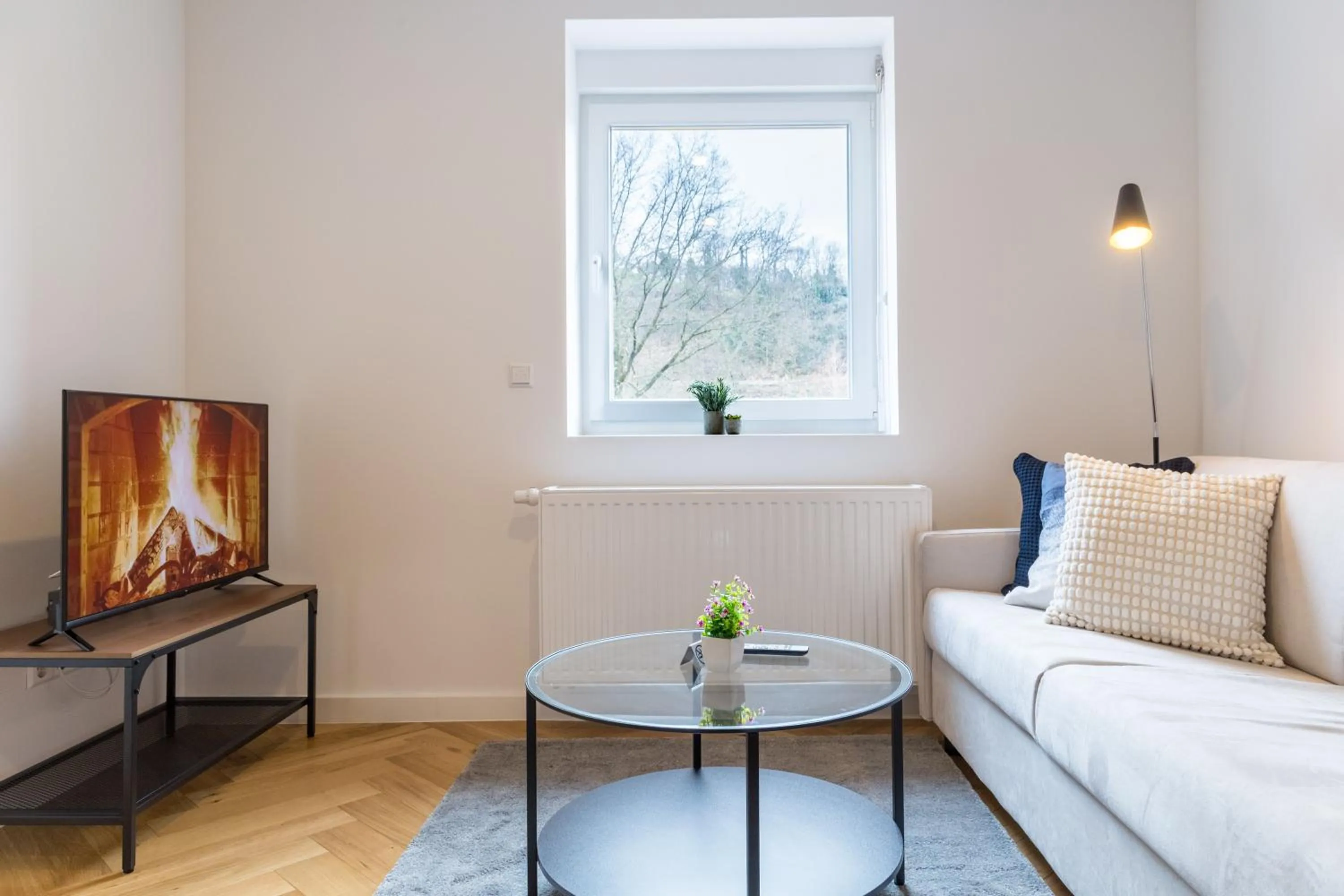 TV and multimedia in living TIMELESS - Adler Apartments Sasbachwalden