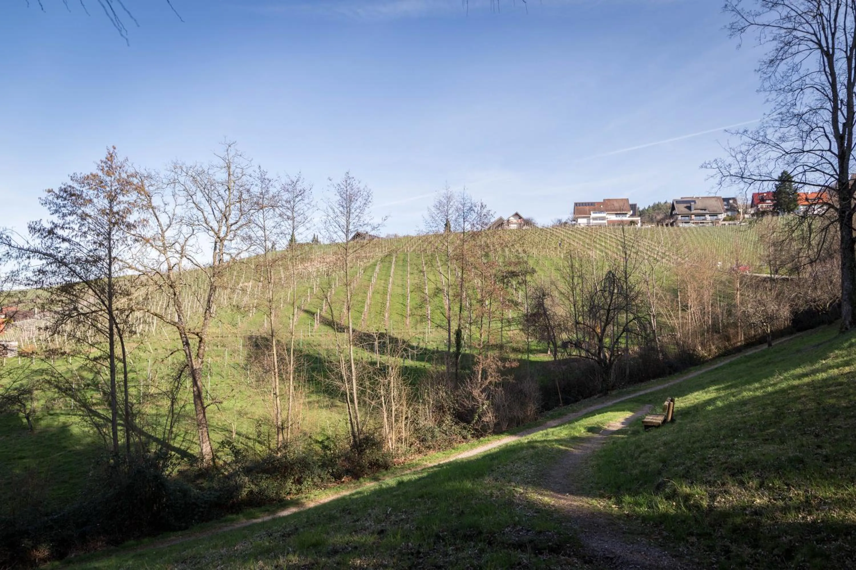 Spring in living TIMELESS - Adler Apartments Sasbachwalden