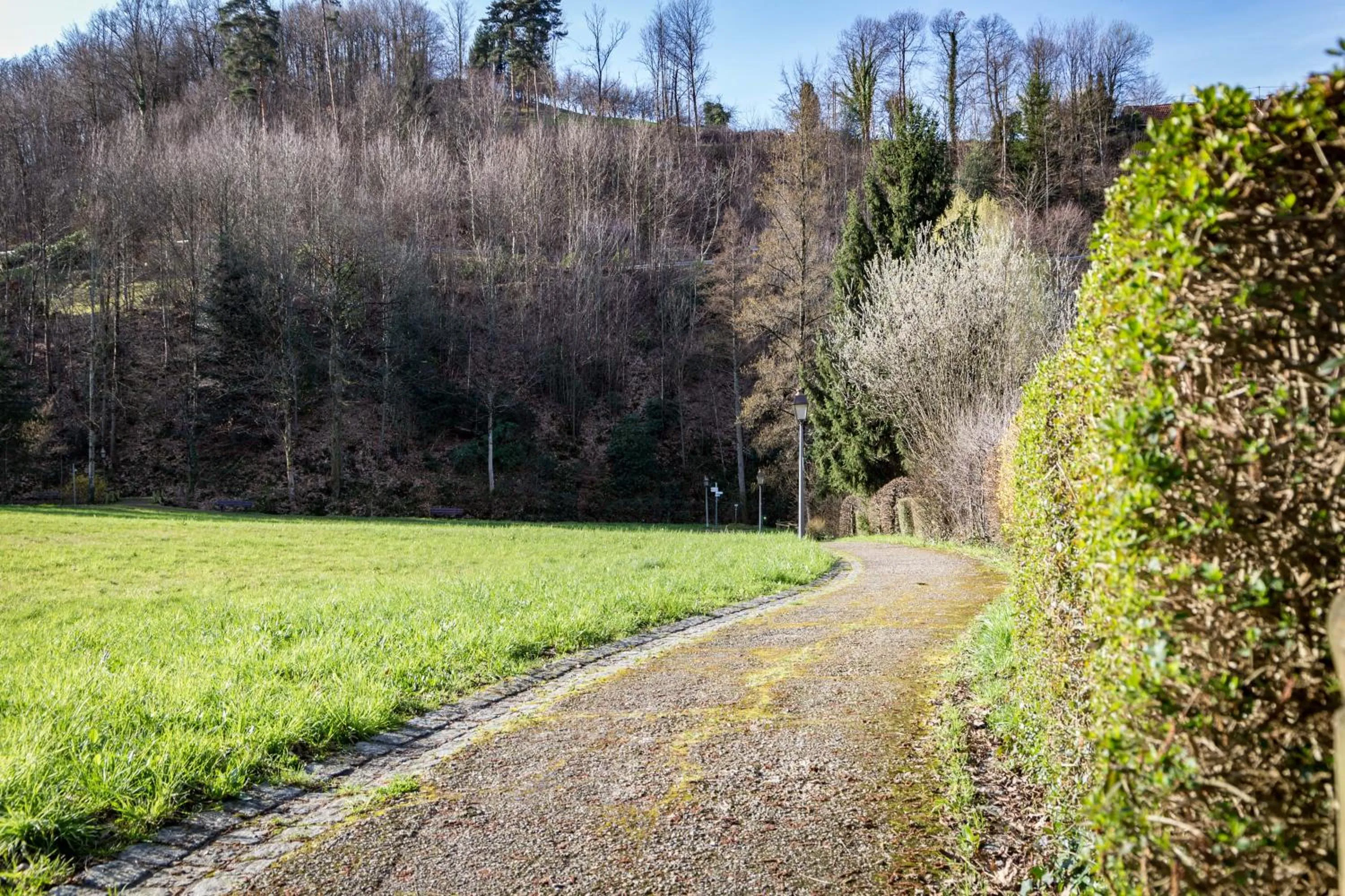 Natural landscape in living TIMELESS - Adler Apartments Sasbachwalden