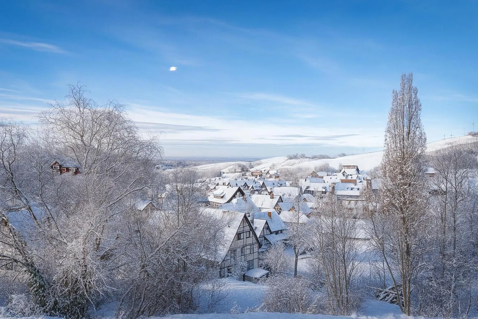 Natural landscape in living TIMELESS - Adler Apartments Sasbachwalden