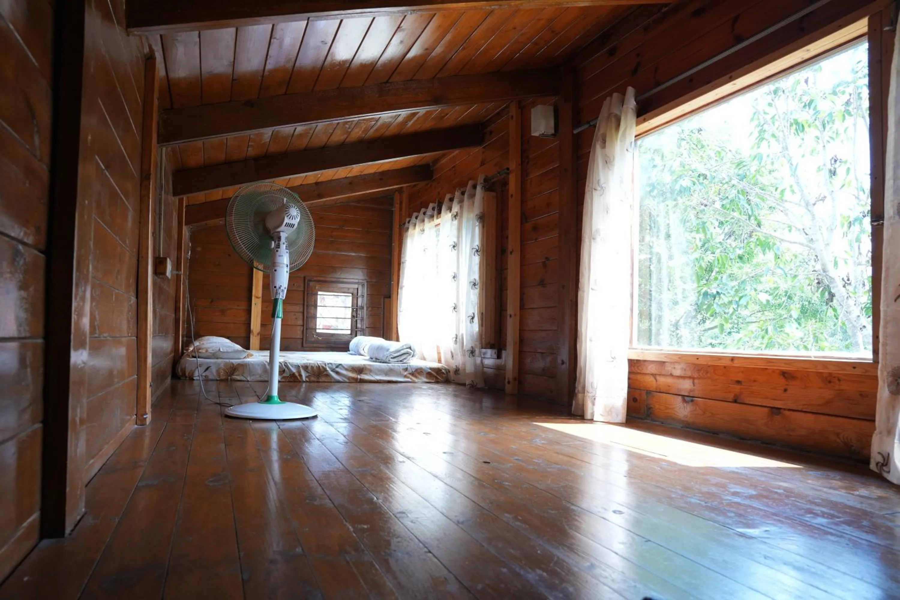 Property building in labdhi Resorts Masinagudi- Stag Groups not allowed