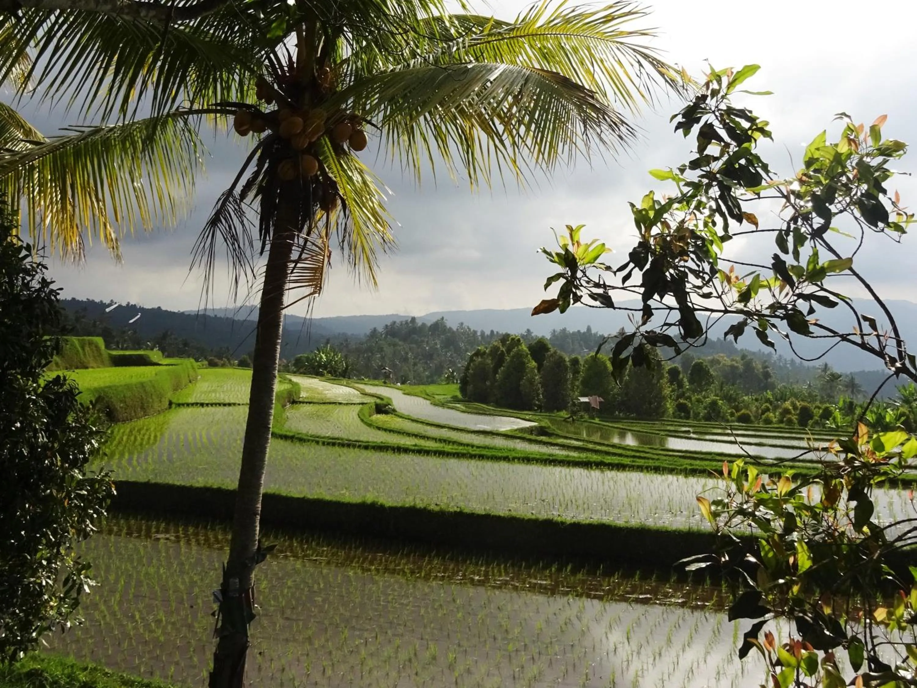 Nearby landmark in Mayo Resort