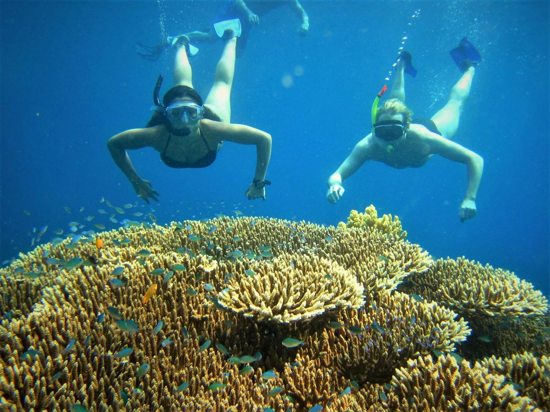 Snorkeling in Mayo Resort