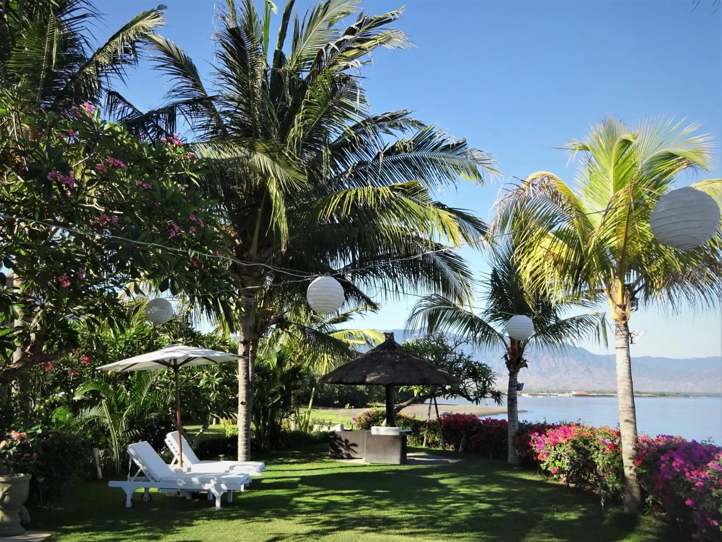 Garden view in Mayo Resort