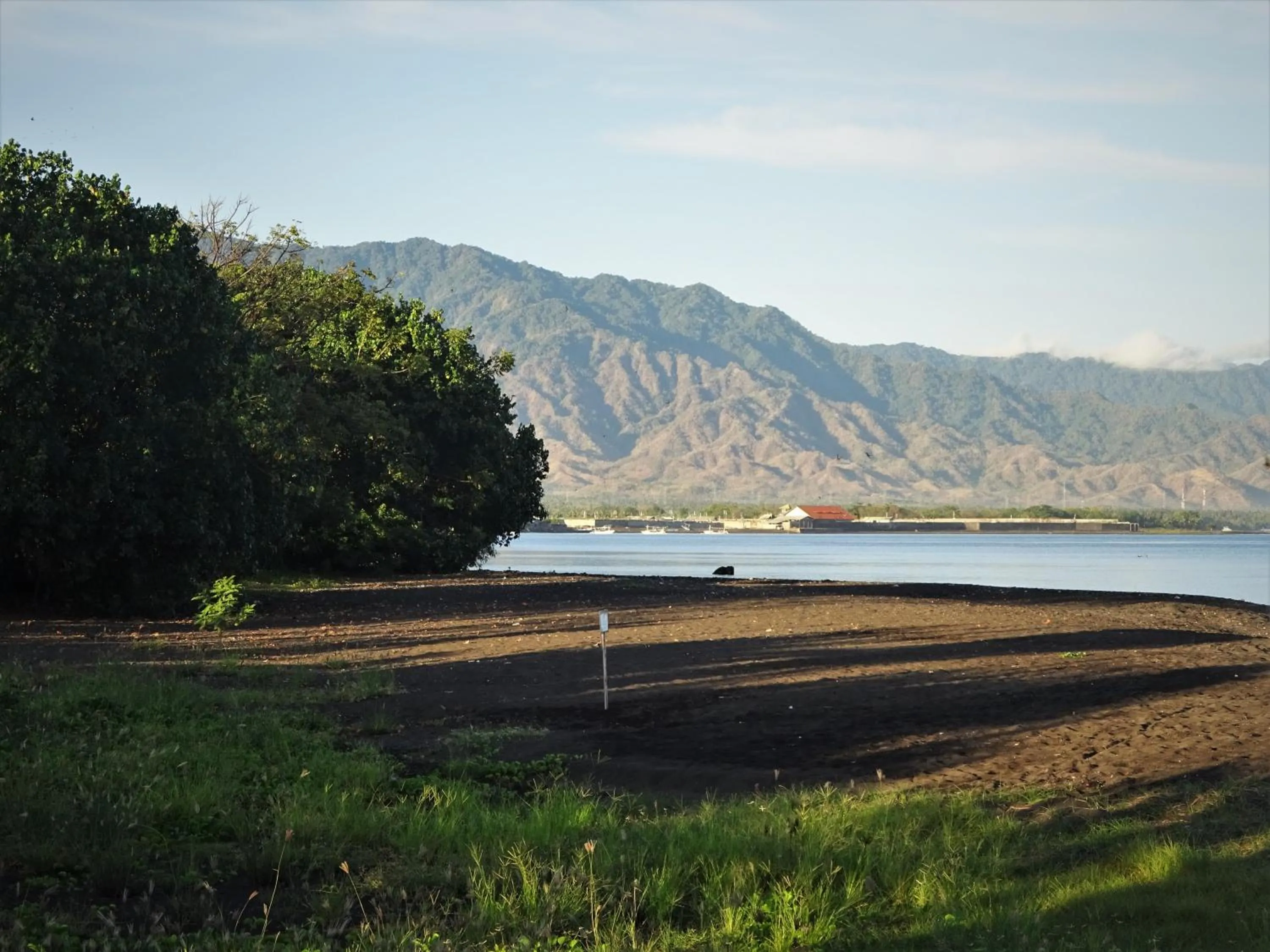 Beach in Mayo Resort