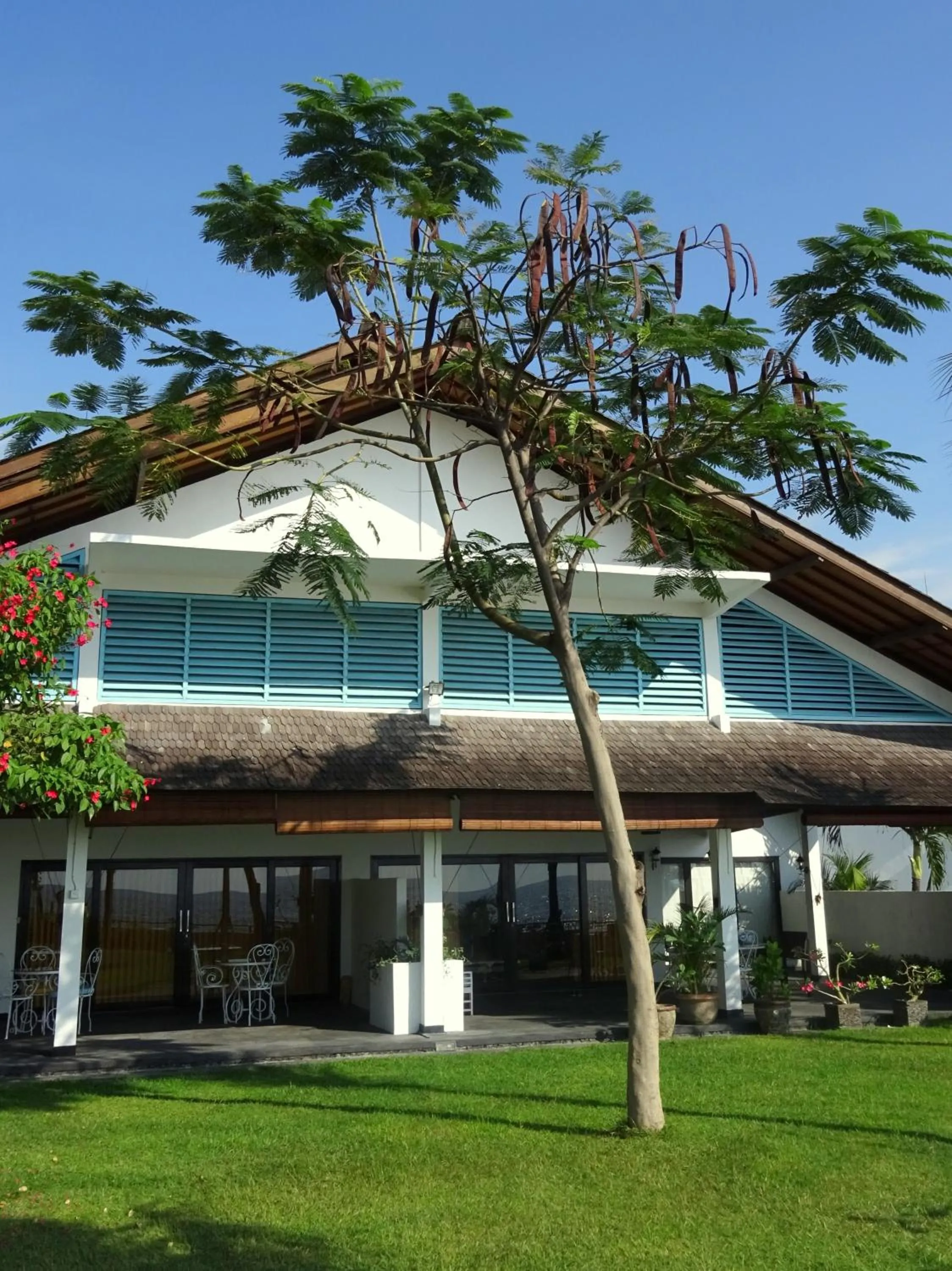 Property building in Mayo Resort