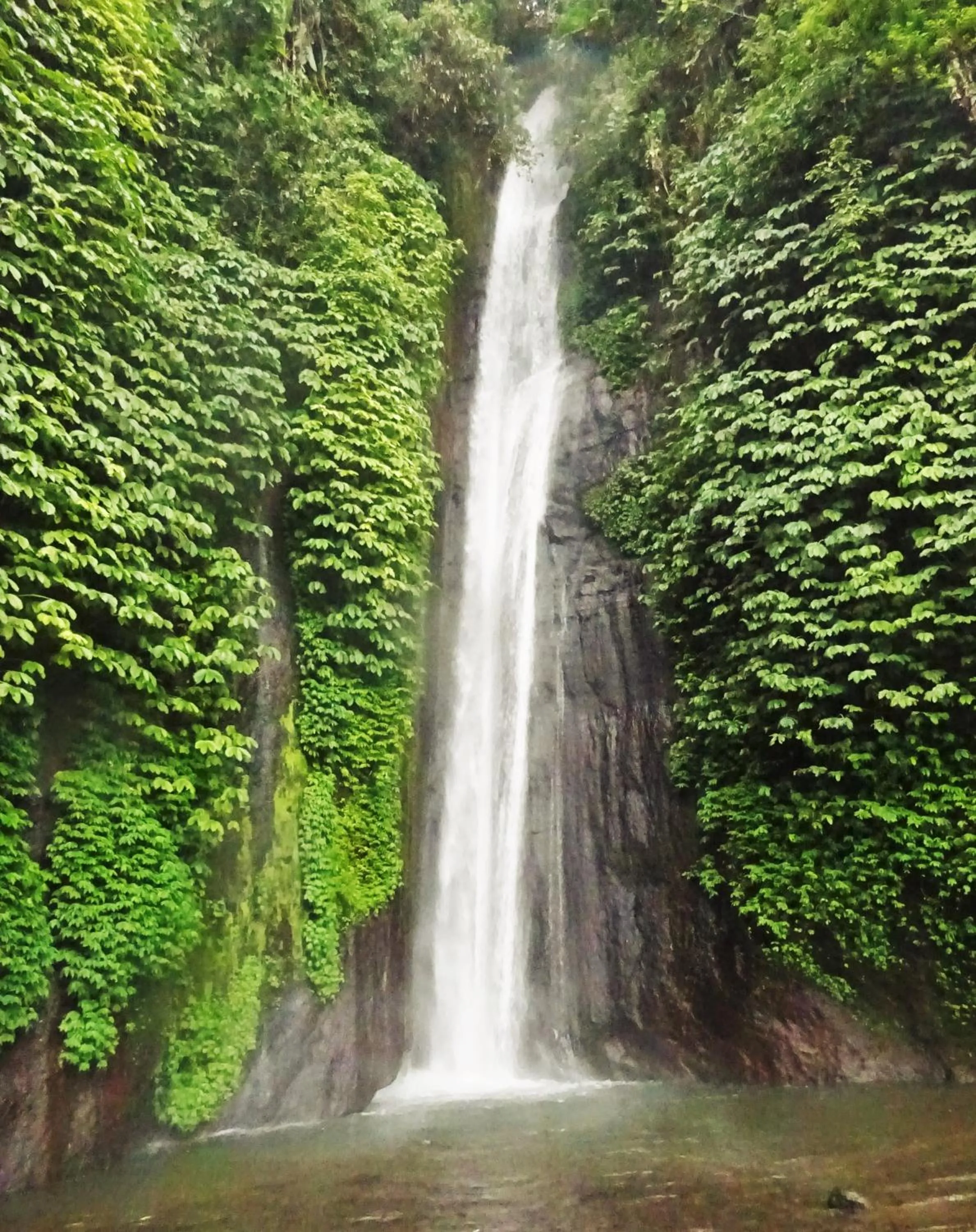 Natural landscape in Mayo Resort