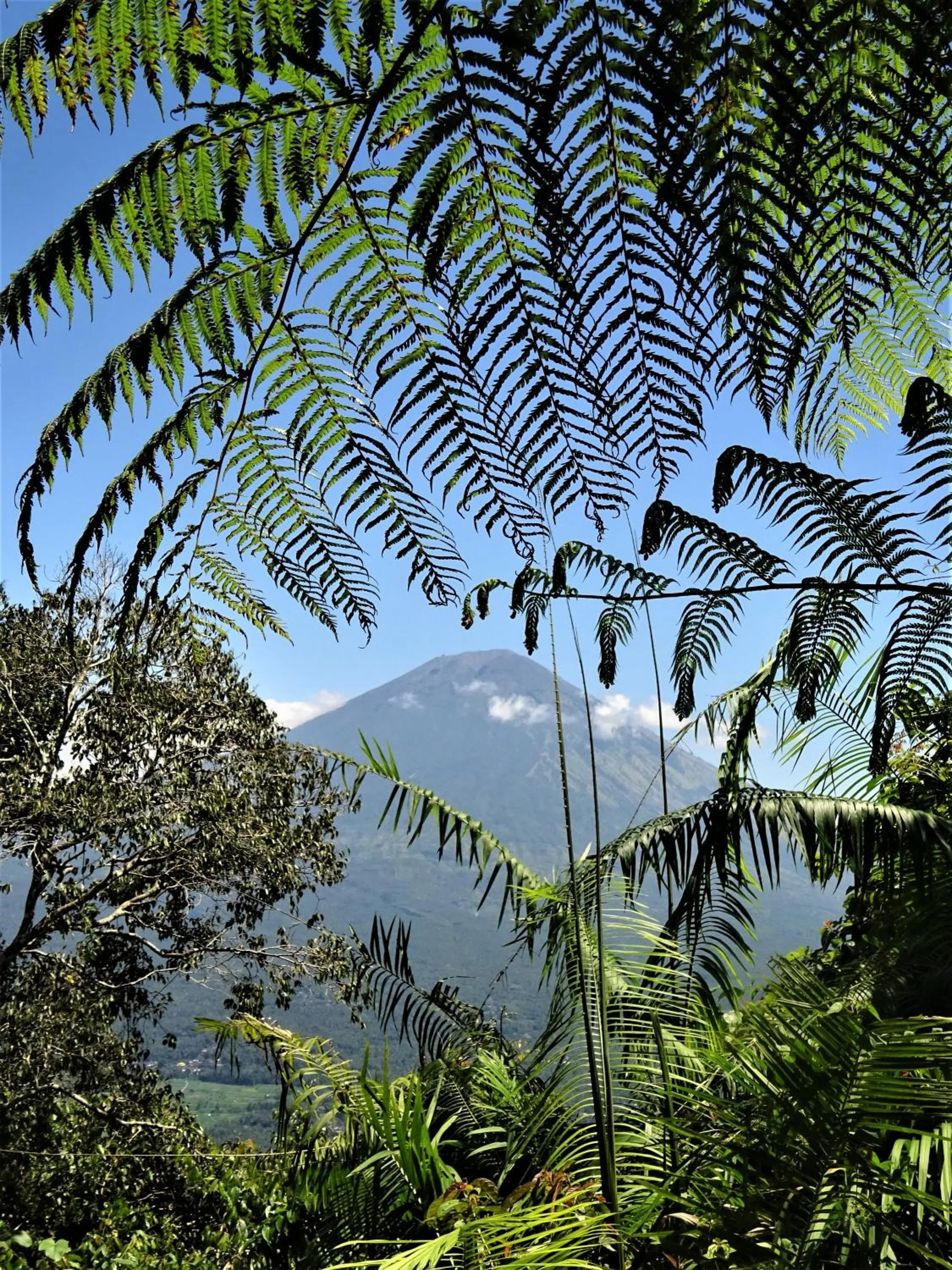Natural landscape in Mayo Resort