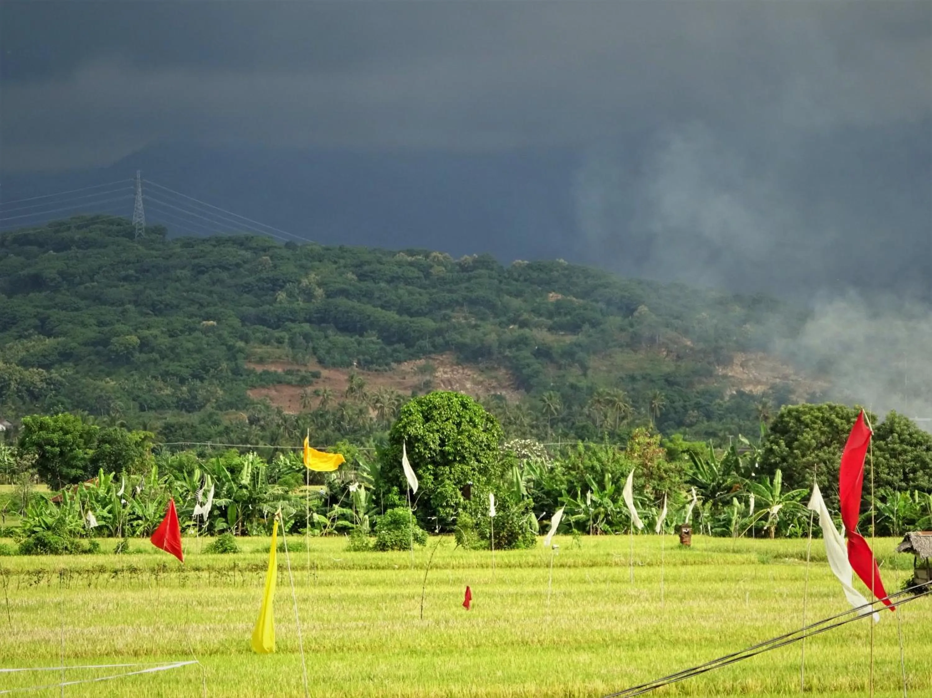 View (from property/room) in Mayo Resort