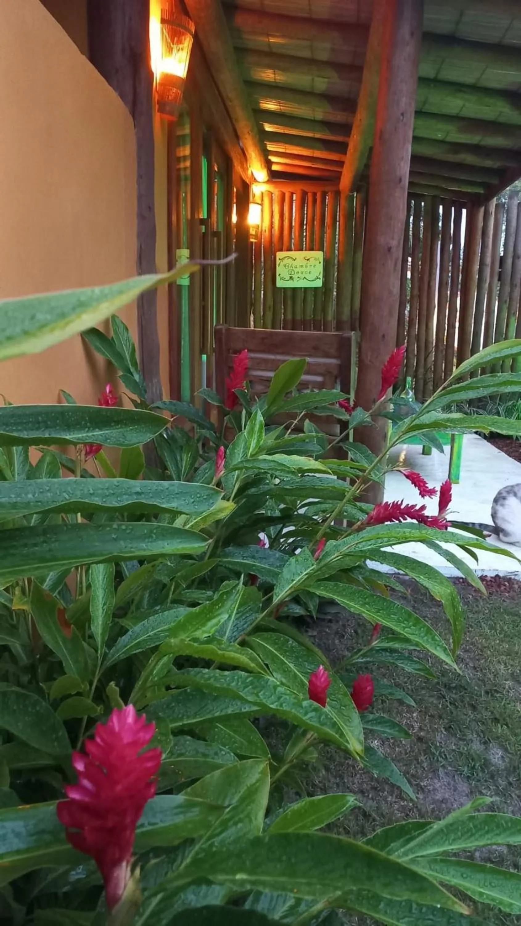 Garden in Casa Paula