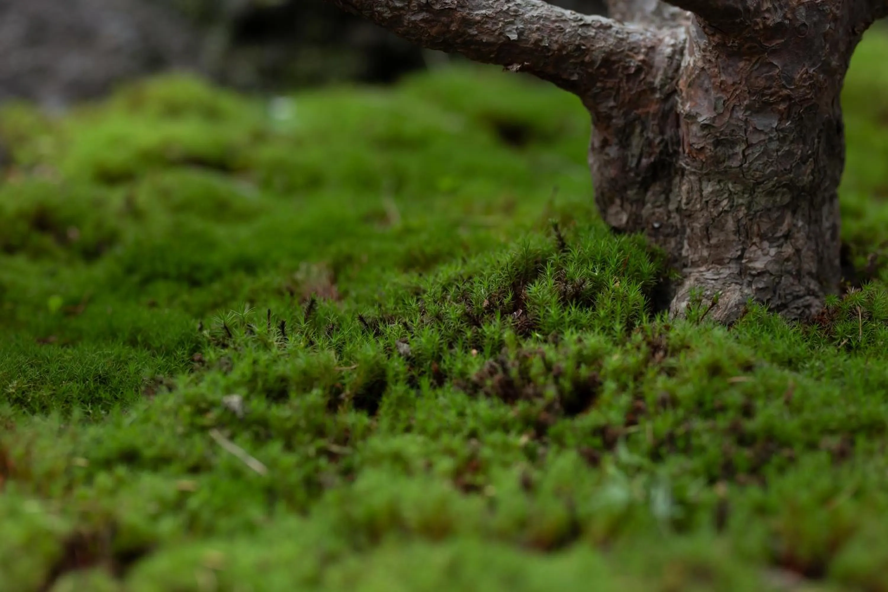 Property building in 7c villa and winery