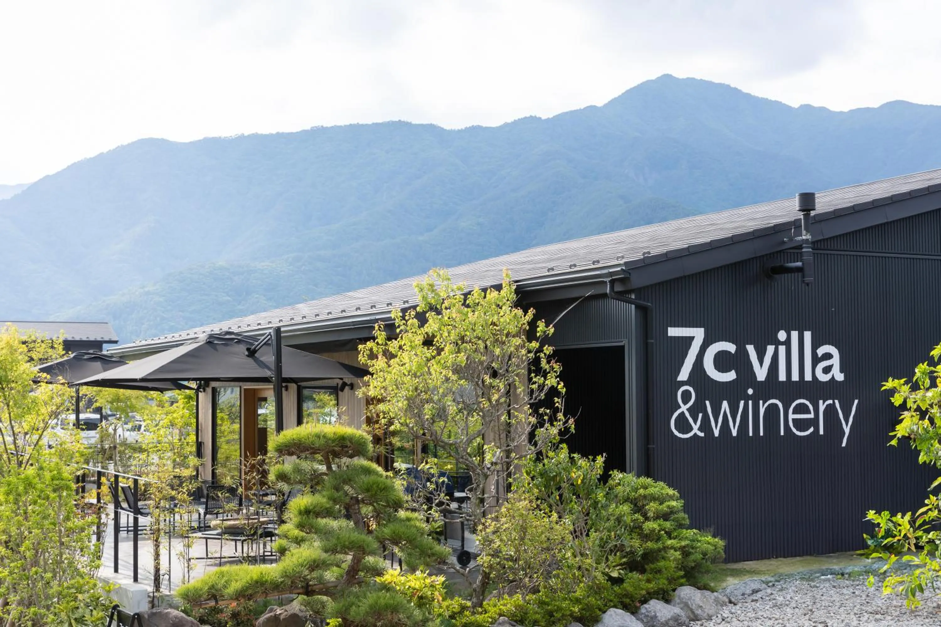 View (from property/room) in 7c villa and winery