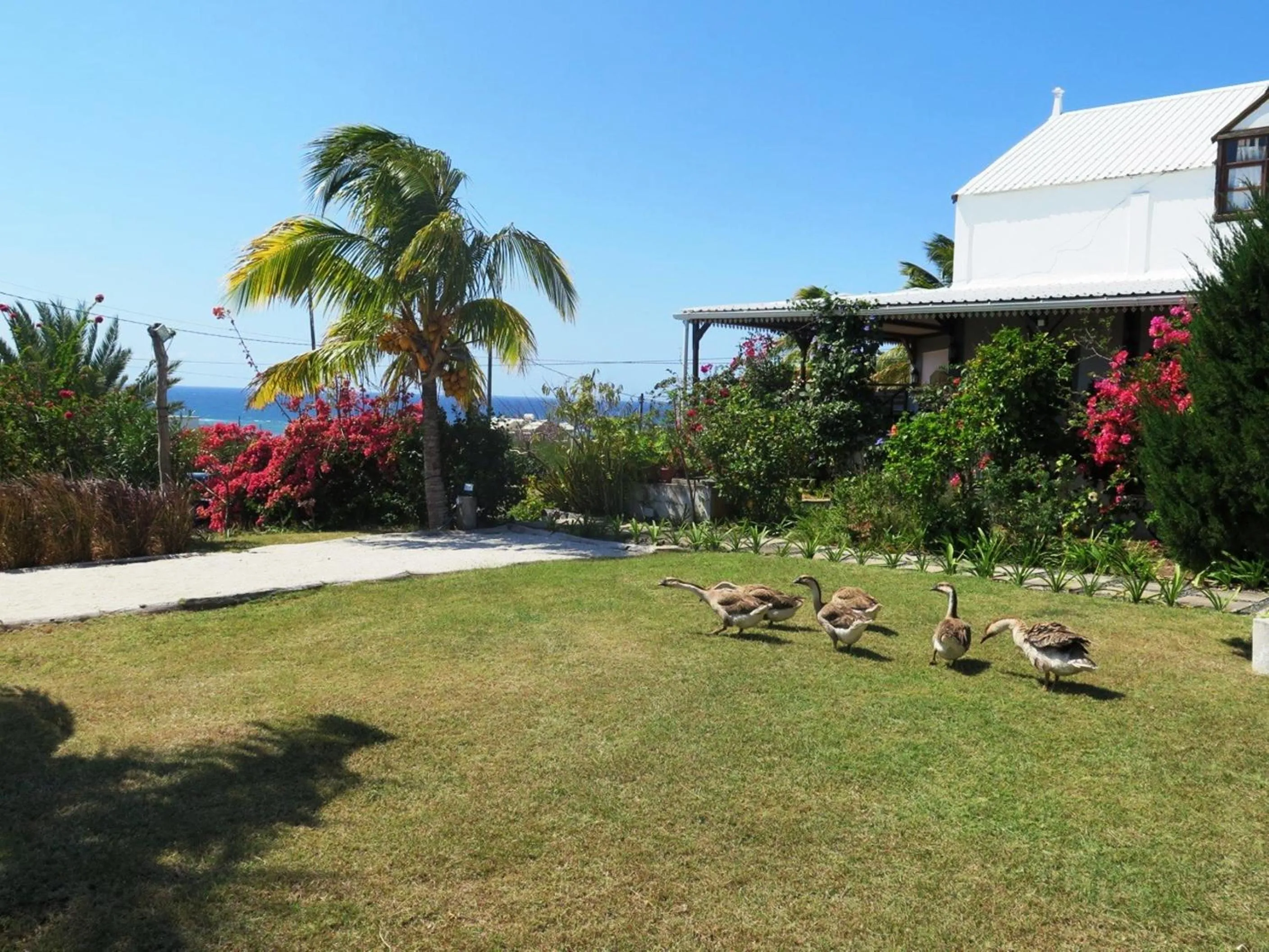 Property building in Residence Foulsafat