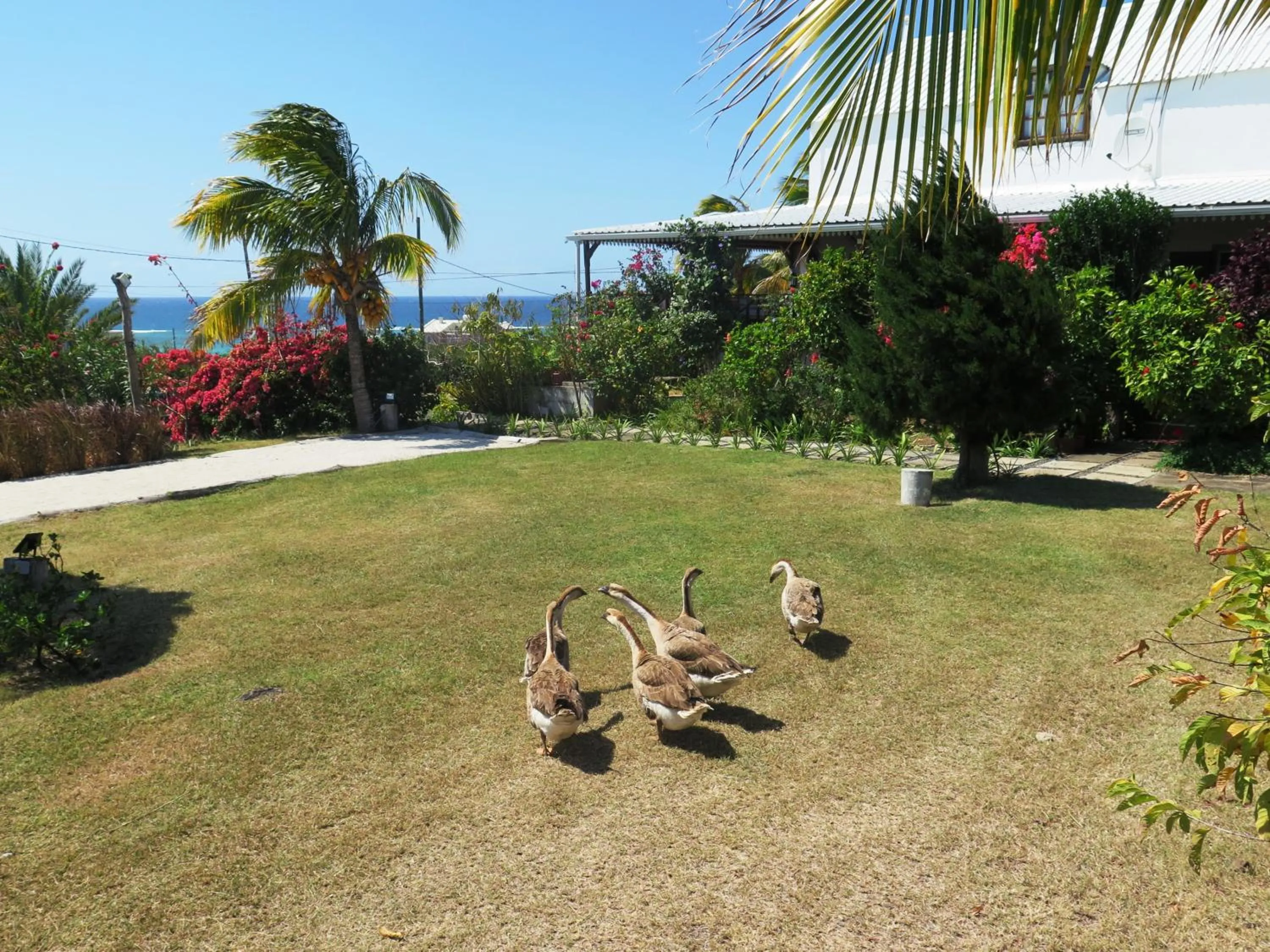 Garden in Residence Foulsafat