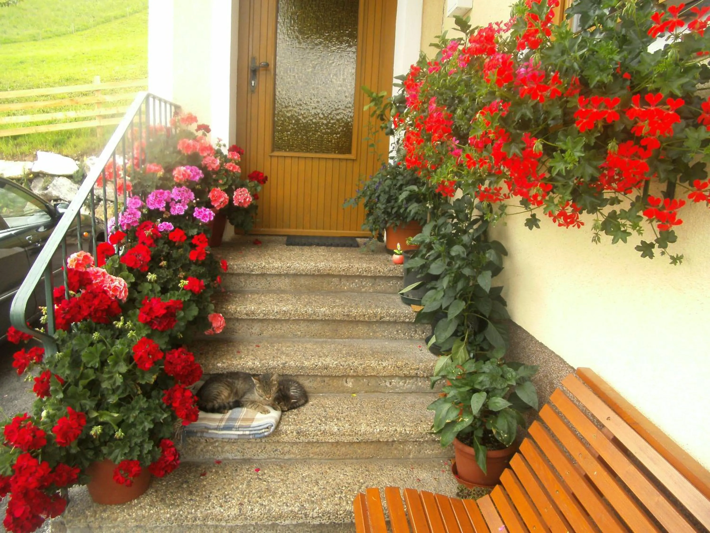 Facade/entrance in Haus Erika