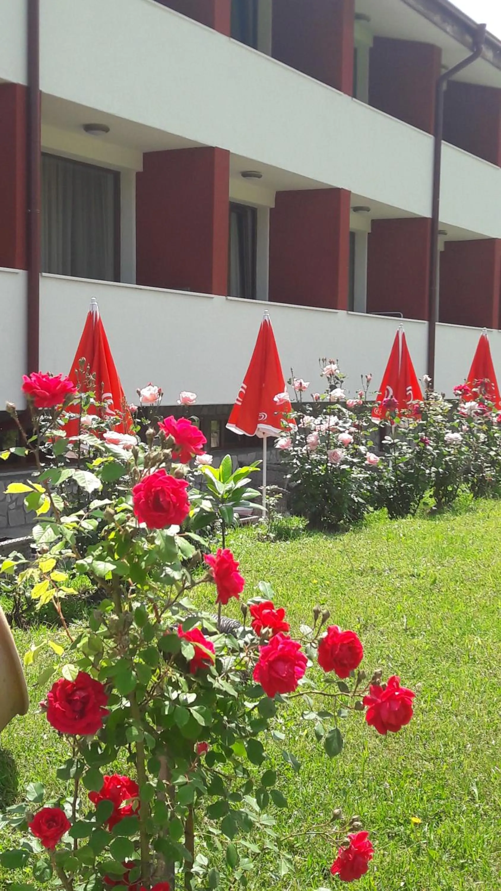 Garden view in Paradise SPA Hotel