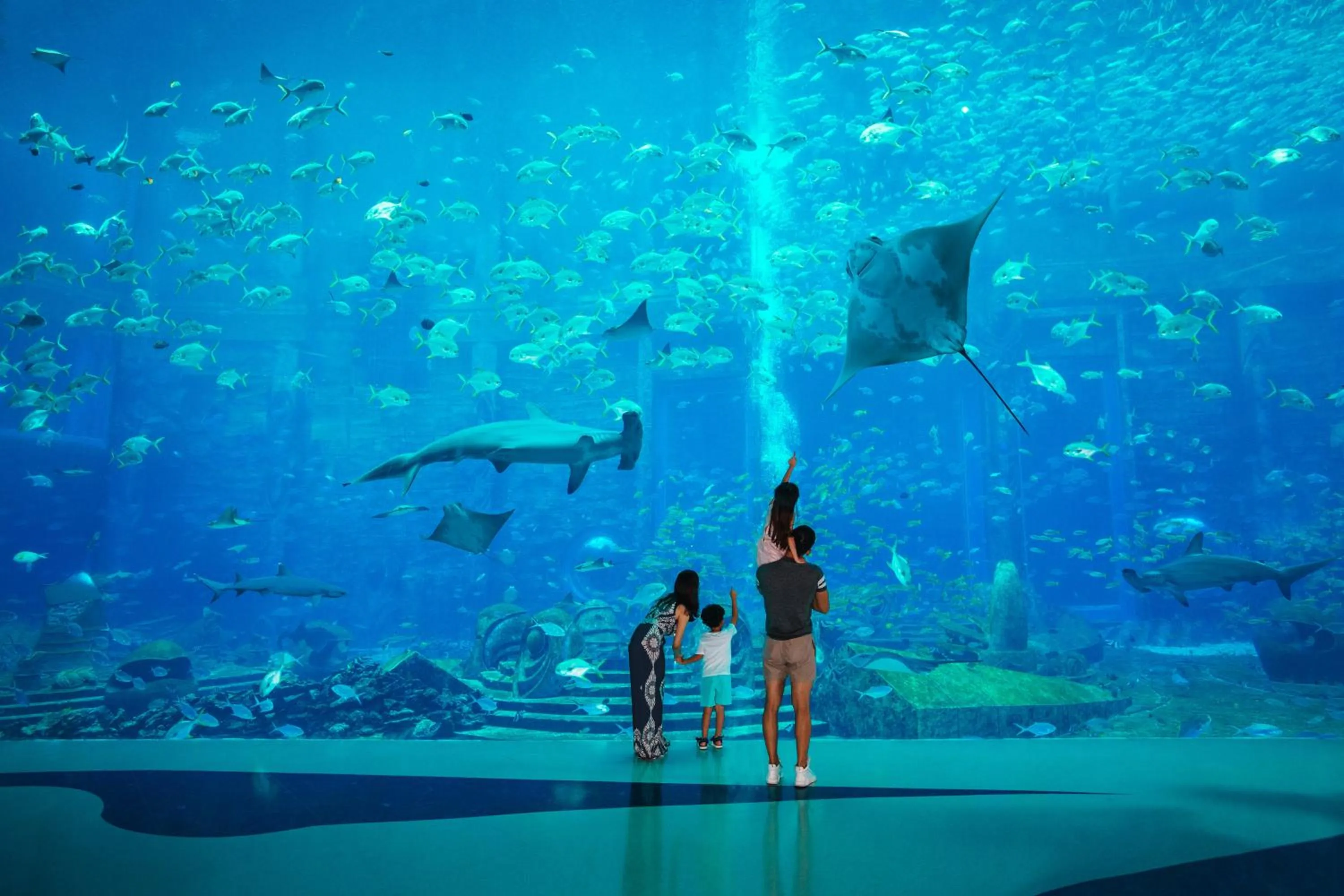 Animals in Sanya Junji Seaview Hotel