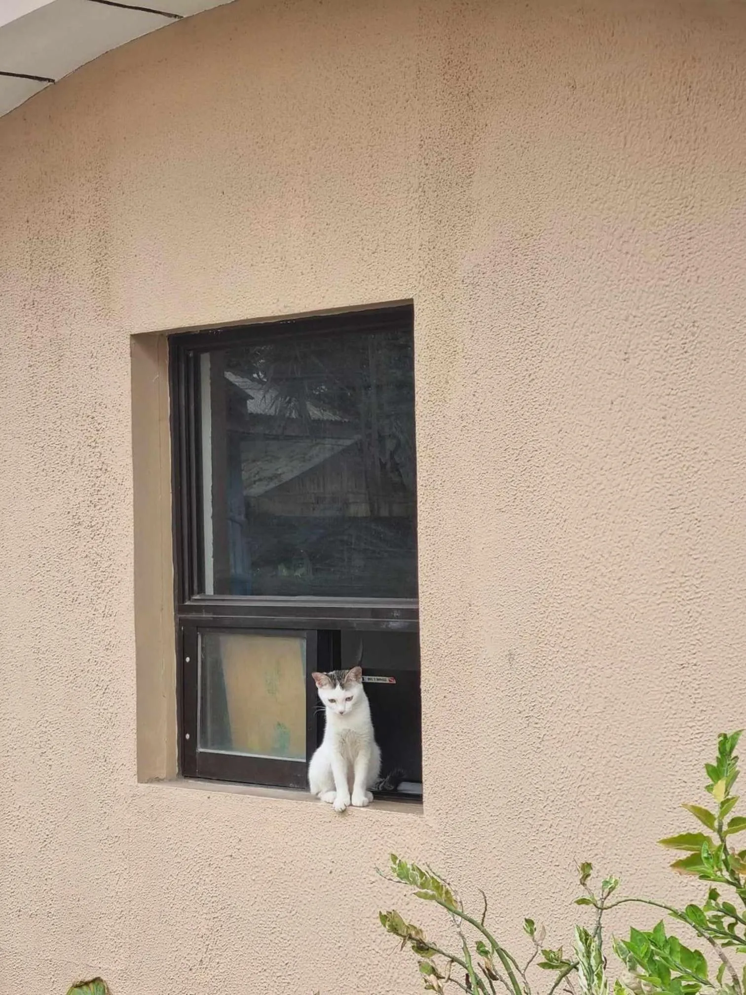 Property building in Le Verde Lodge
