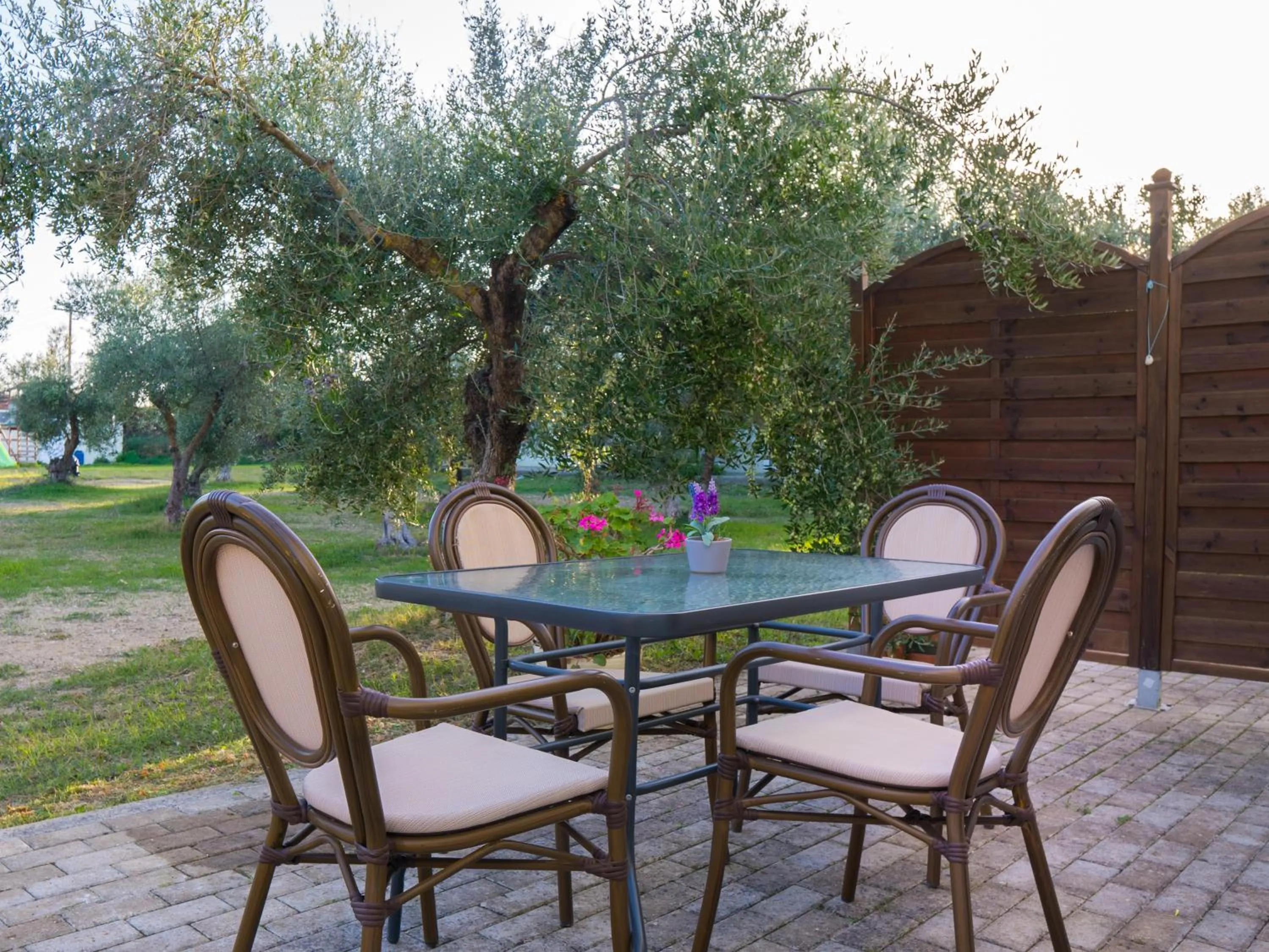 Patio in Olive Τrees Garden