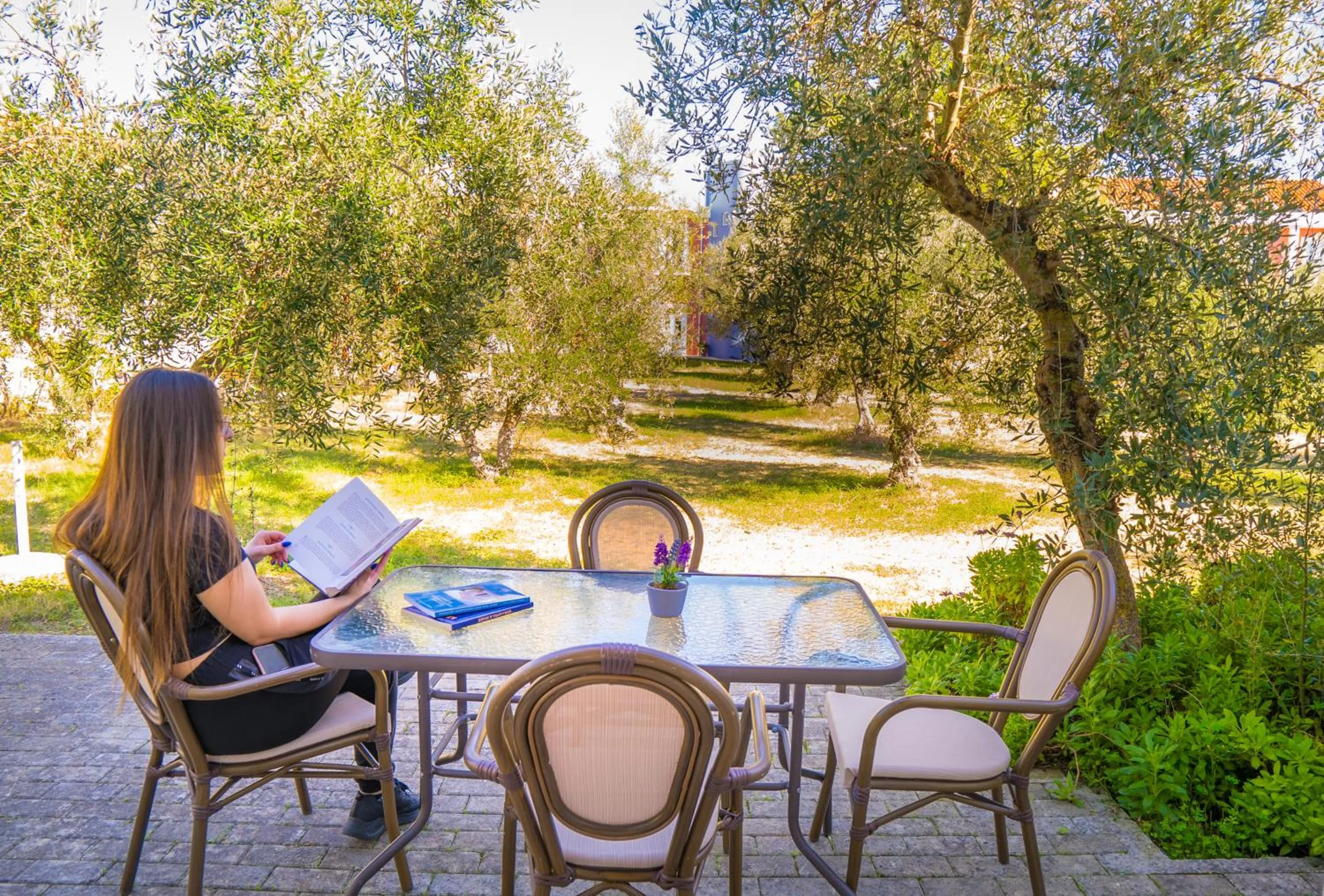 Patio in Olive Τrees Garden