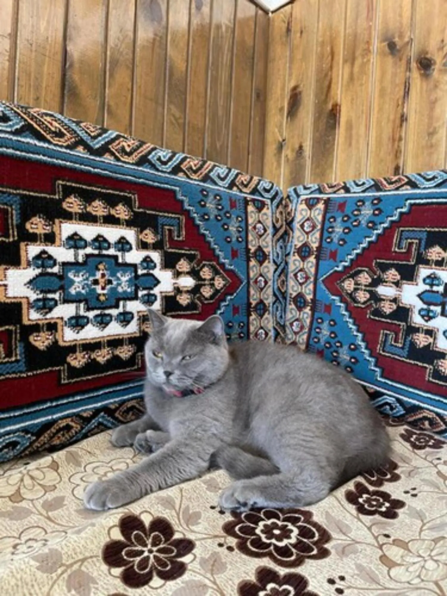 Property building in Avlu Cave House