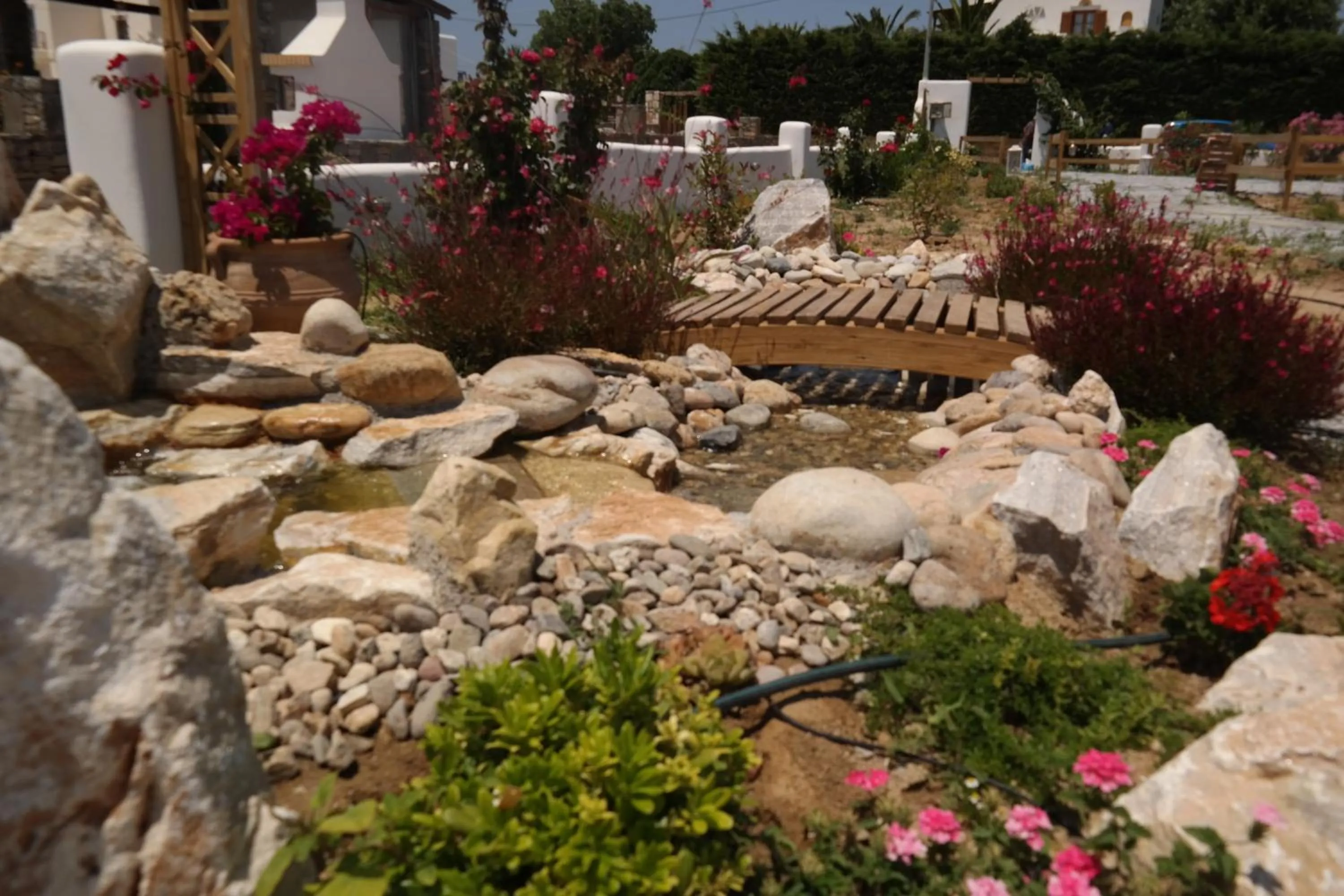 Garden in Annio studios