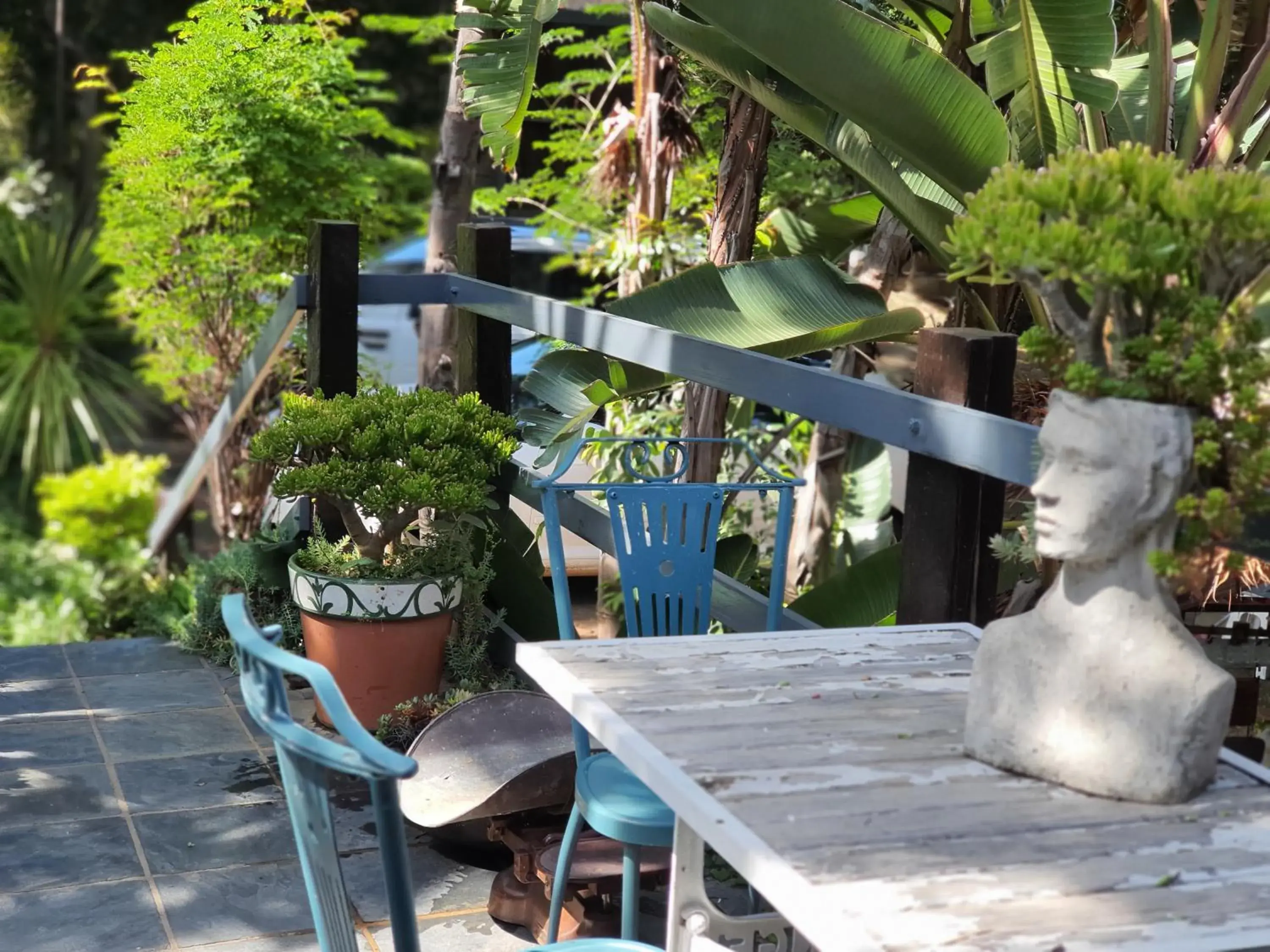 Apartment - single occupancy in Waterhouse Guest Lodge in Waterkloof Apartment - single occupancy in Waterhouse Guest Lodge in Waterkloof