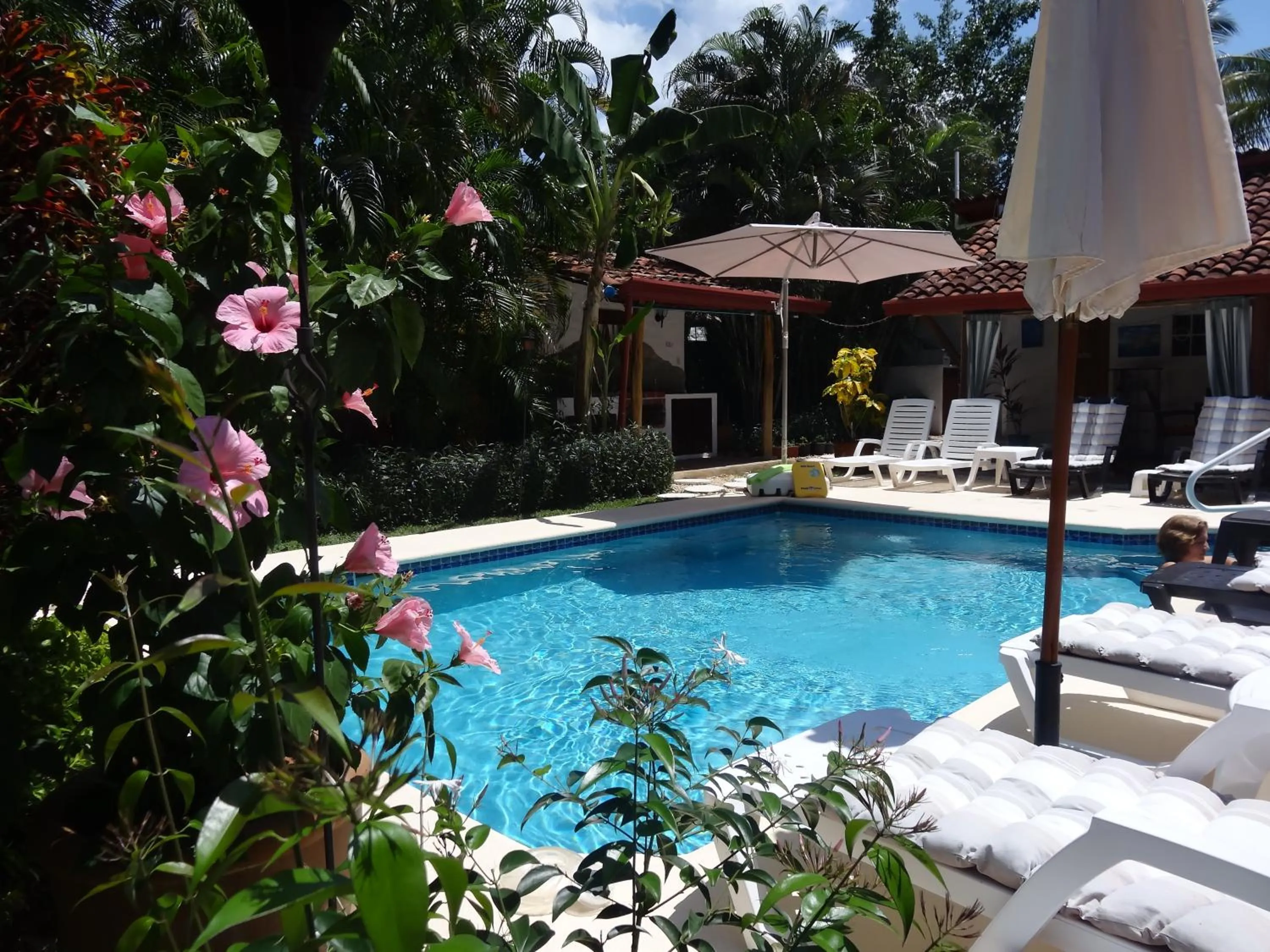 Day in Villa Botero By Casa Mojito