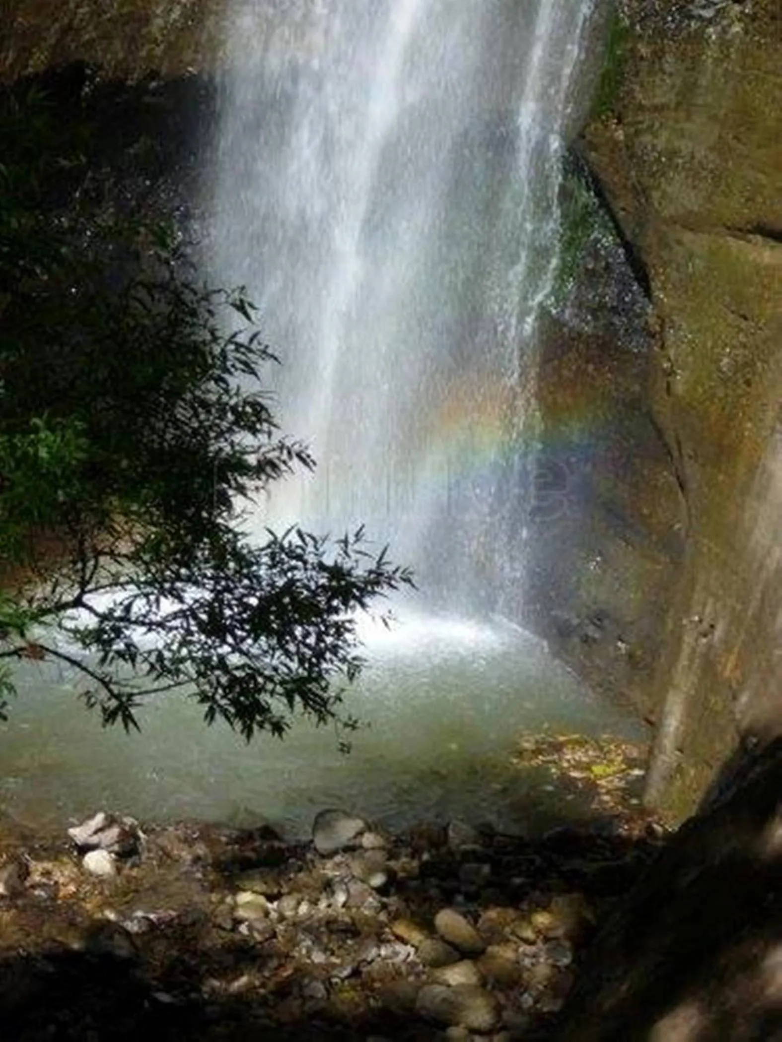 Natural landscape in Reserva Natural Atitlan
