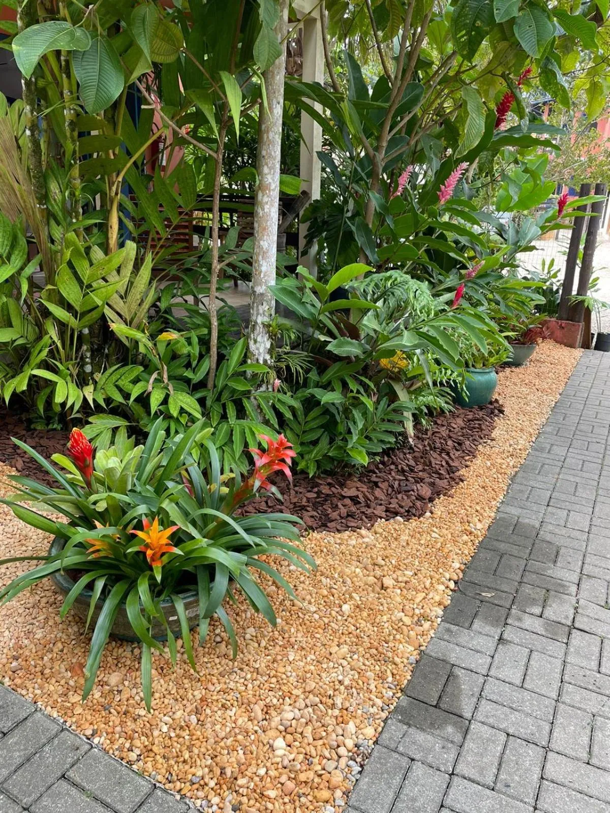 Garden in Pousada Canto do Dado Praia de Itamambuca