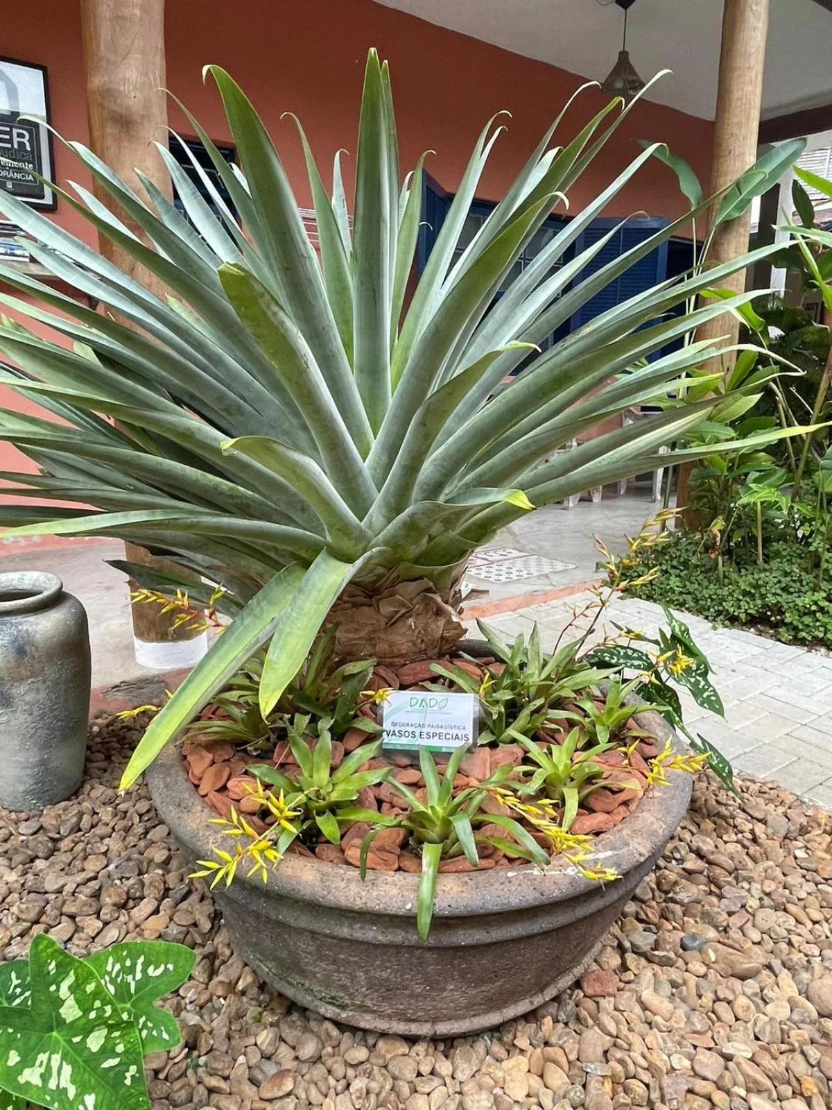 Garden in Pousada Canto do Dado Praia de Itamambuca