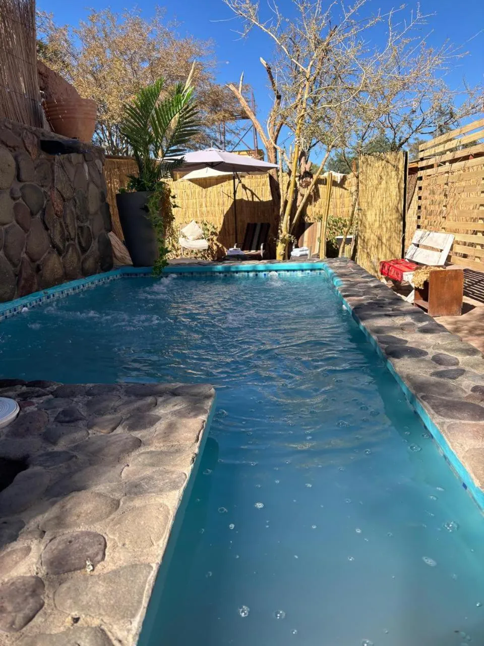 Swimming pool in Hostal Katarpe