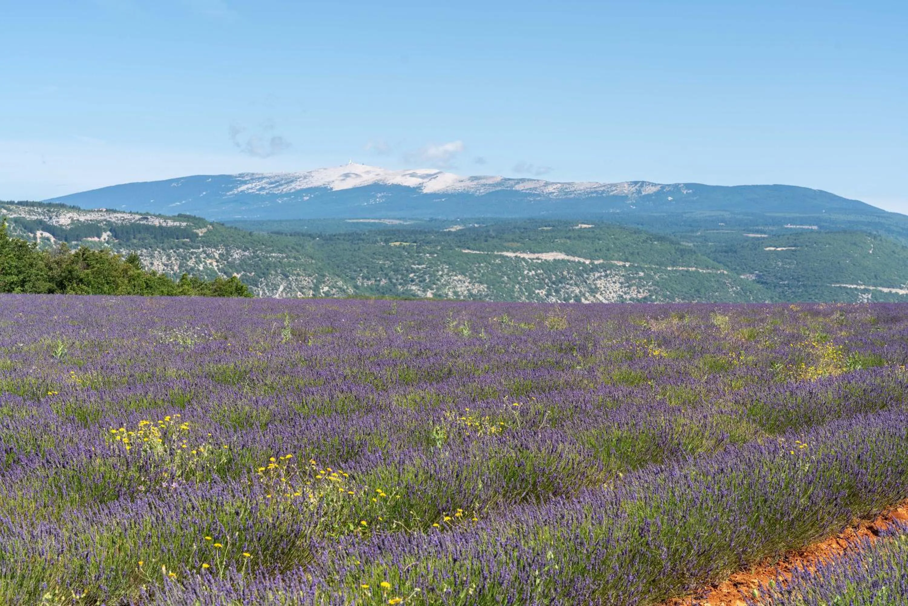 Les Demeures du Ventoux