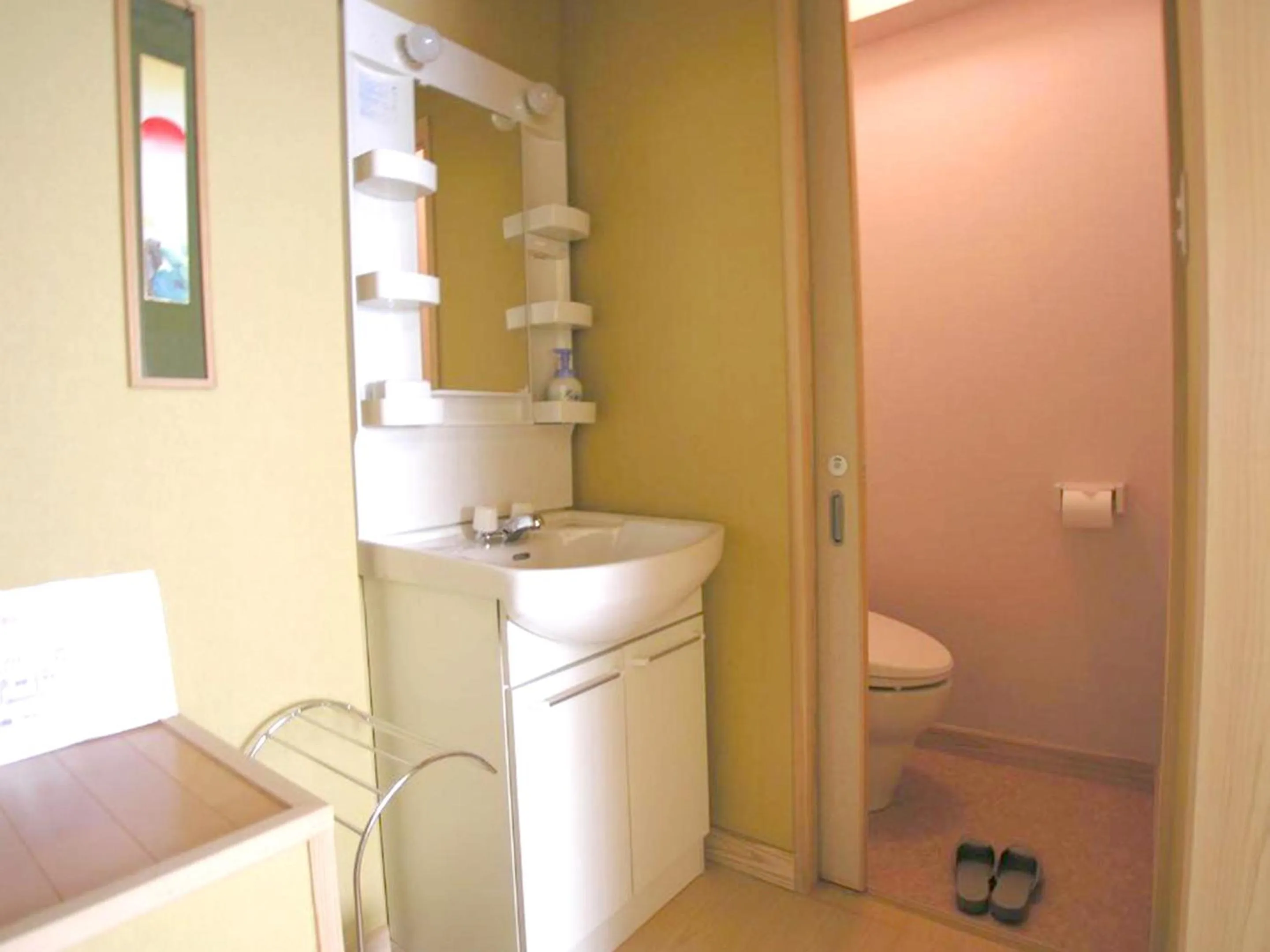 Toilet in Minshuku Inn Shirahama Ekinoyado