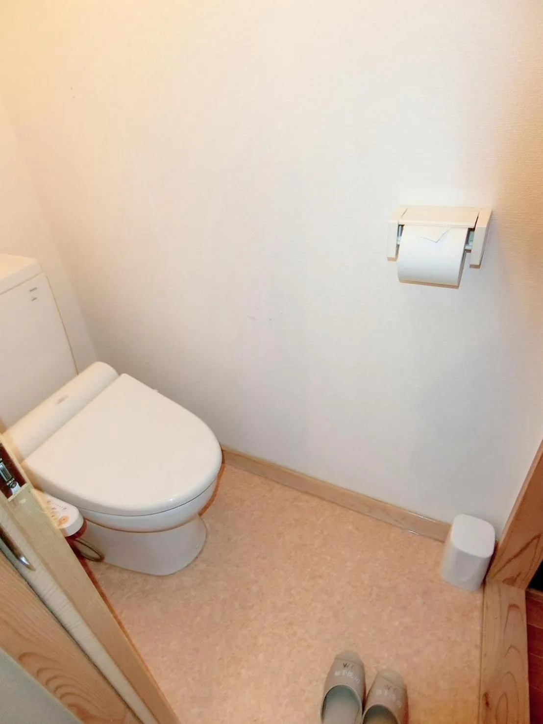 Toilet in Minshuku Inn Shirahama Ekinoyado