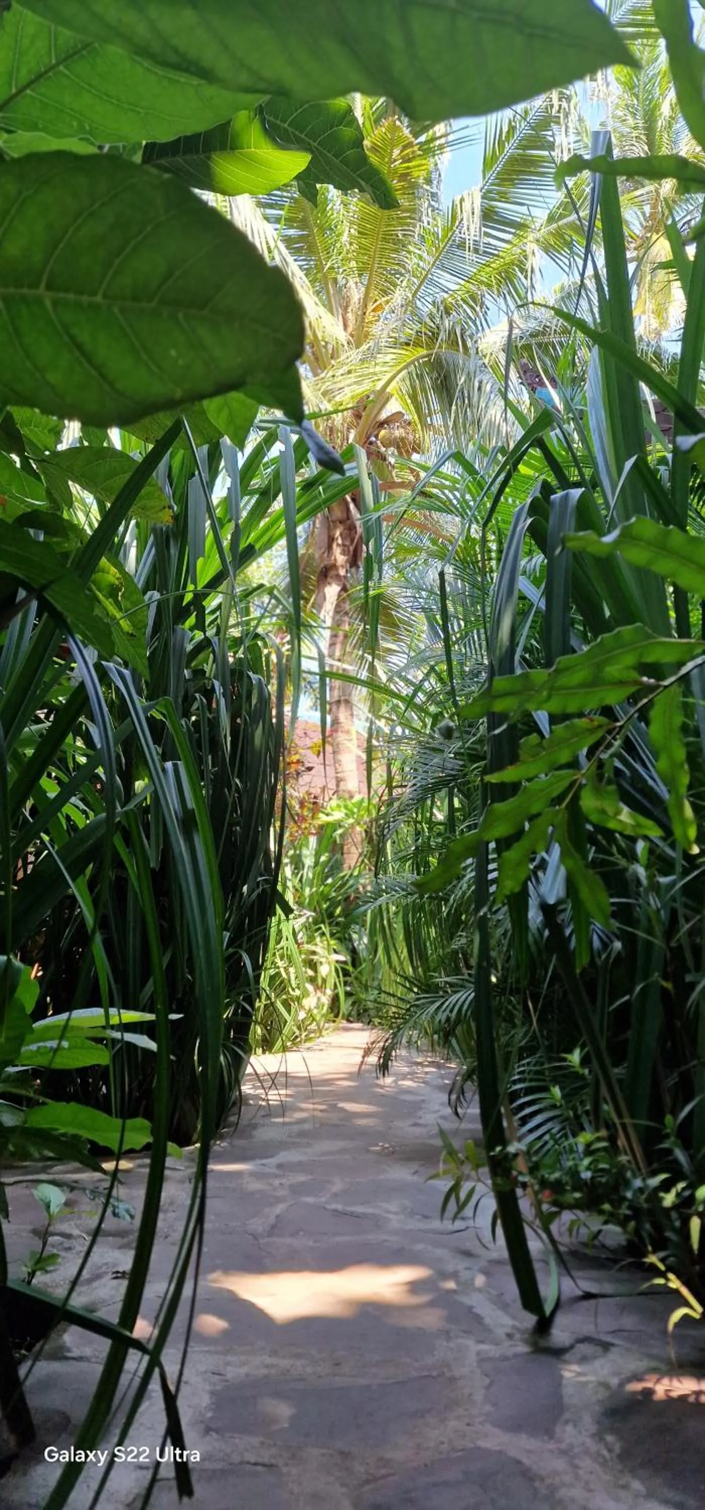 Day in Villas Light House - Eco-Traditional Joglo