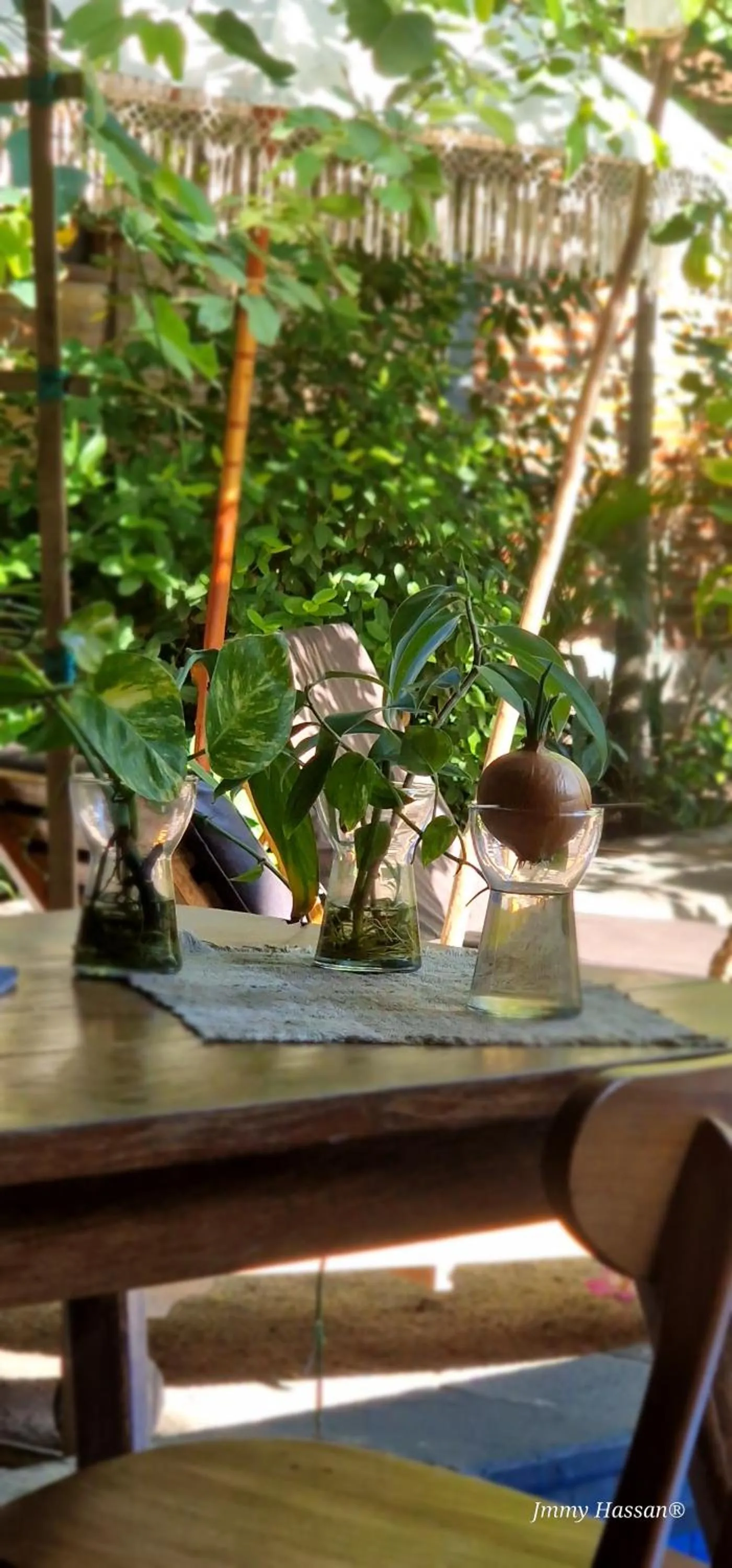 Area and facilities in Villas Light House - Eco-Traditional Joglo