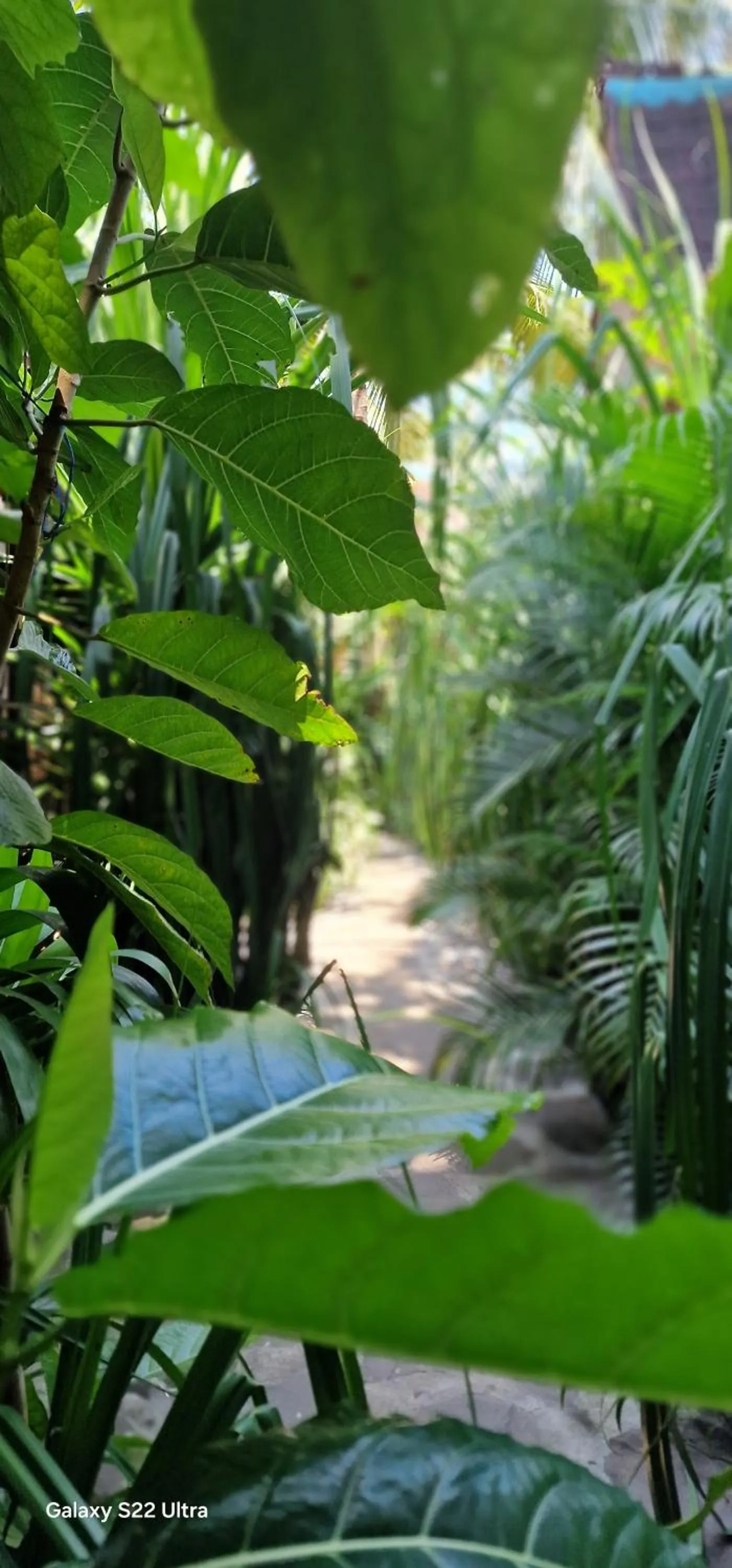 Day in Villas Light House - Eco-Traditional Joglo