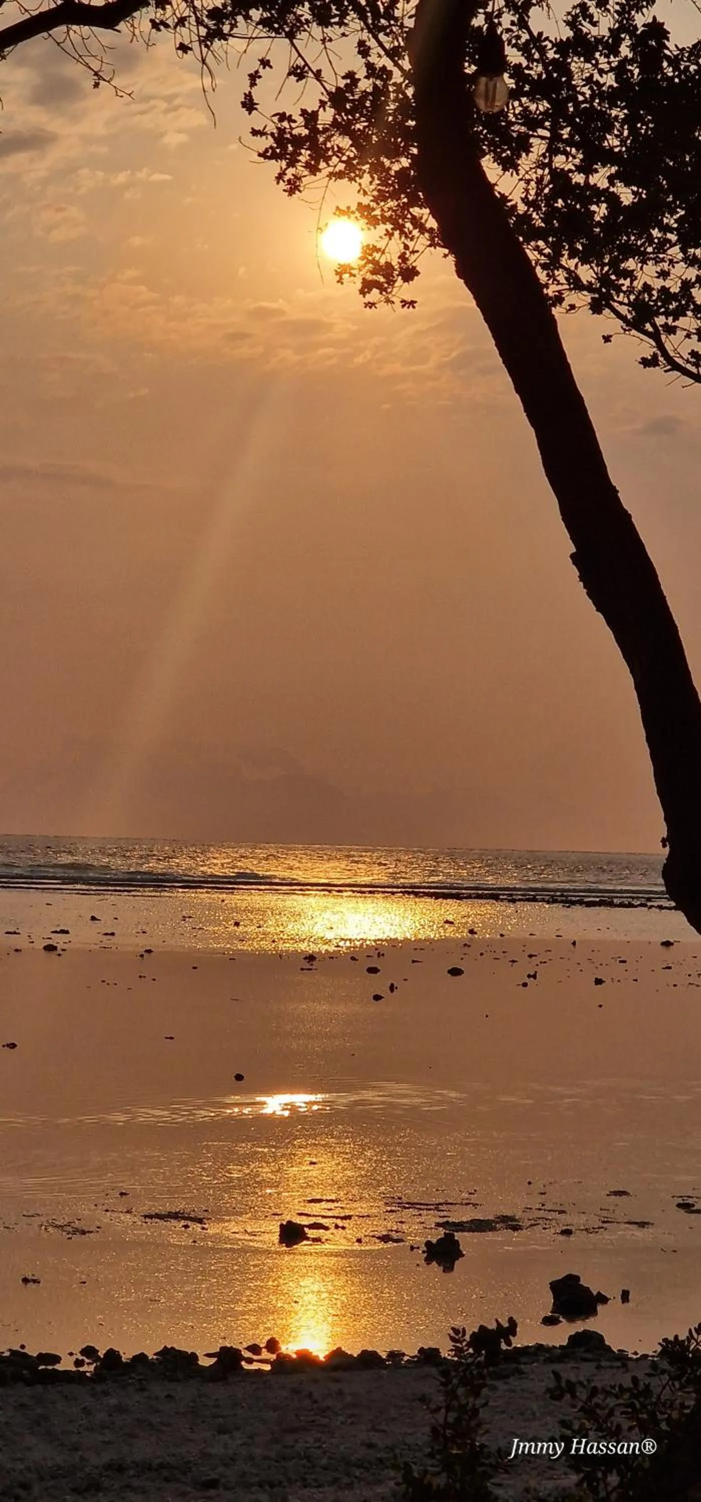 Bird's eye view in Villas Light House - Eco-Traditional Joglo