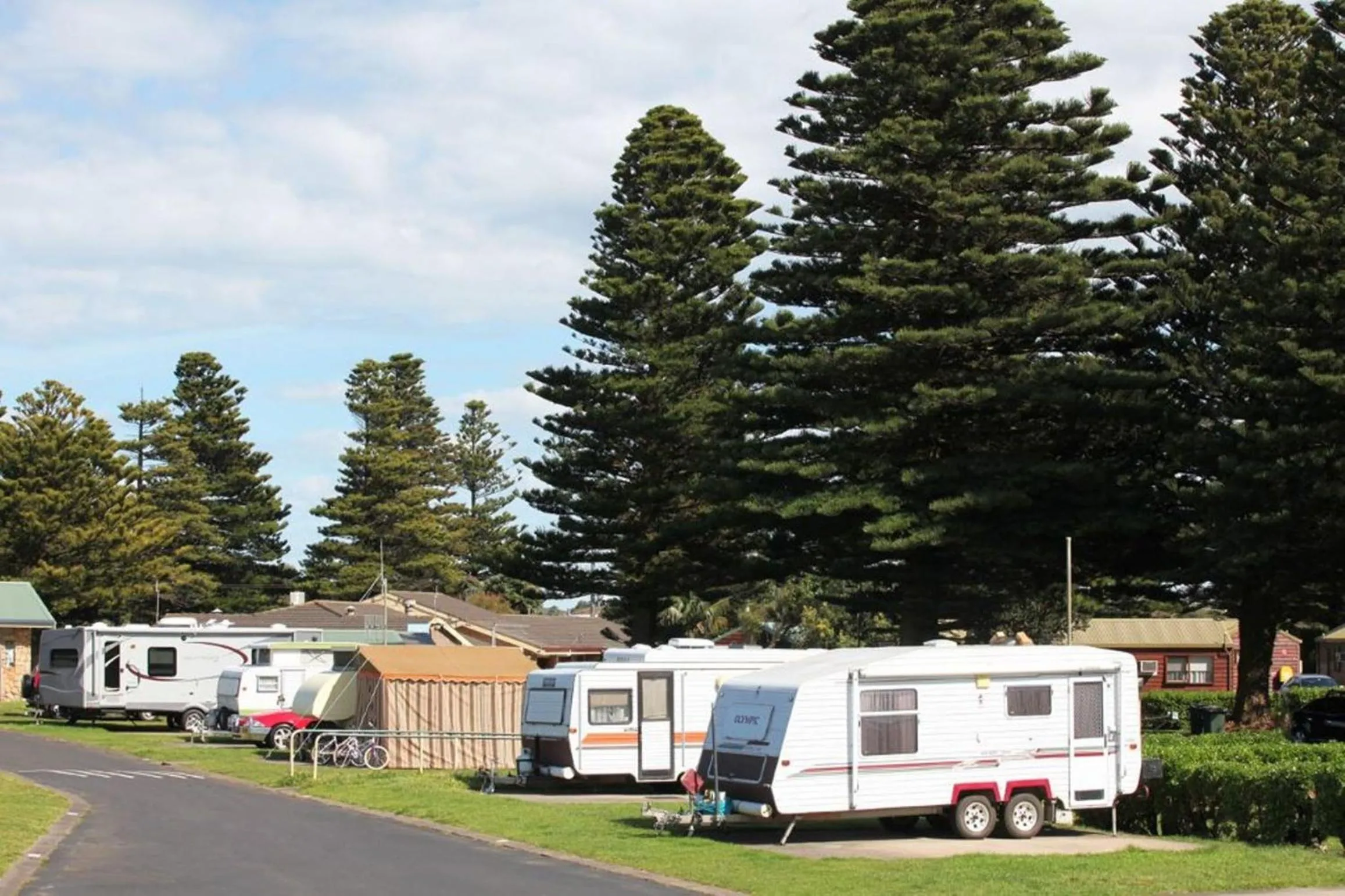 Natural landscape in Surfside Holiday Park Warrnambool