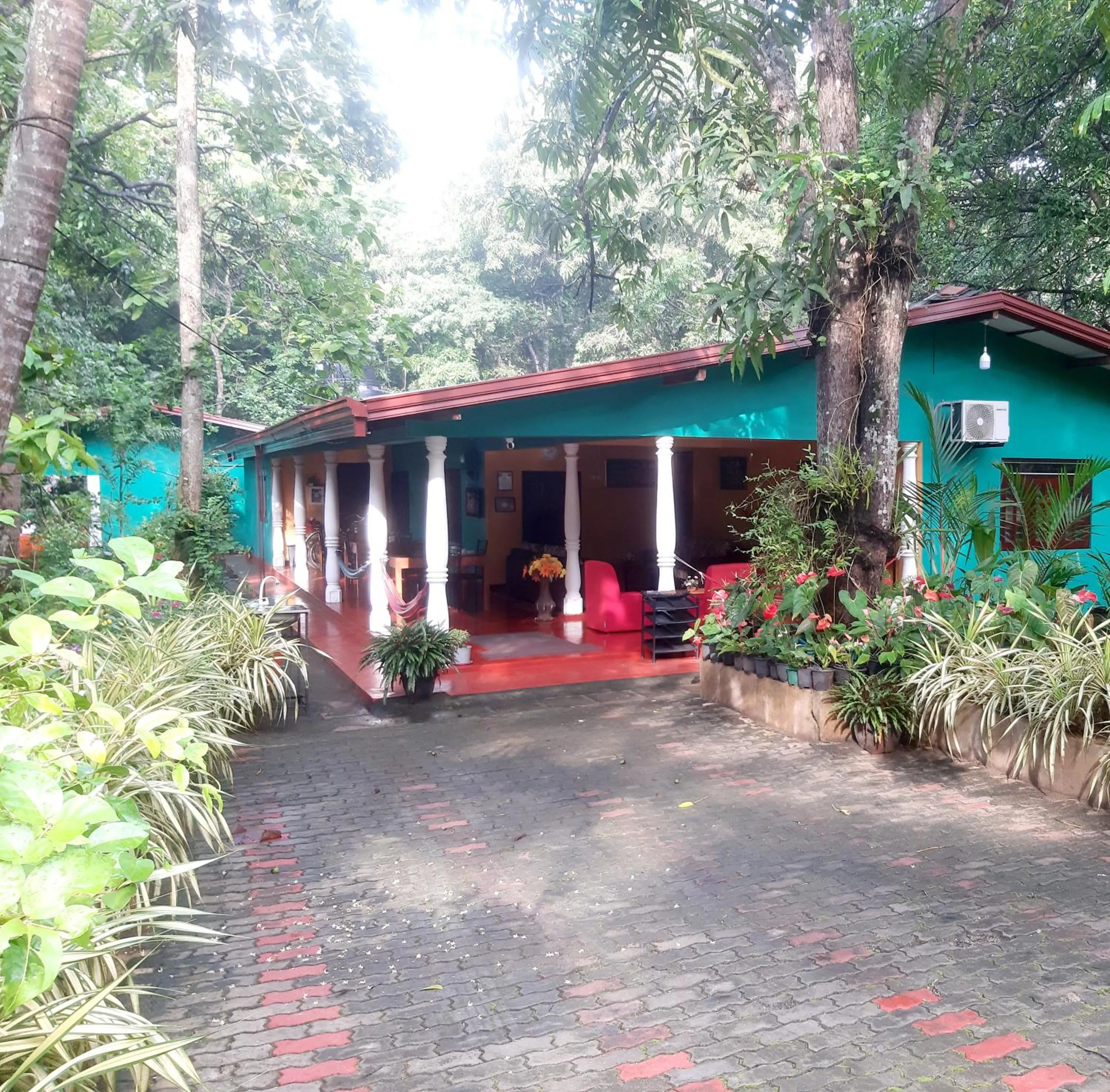 View (from property/room) in Palitha Homestay